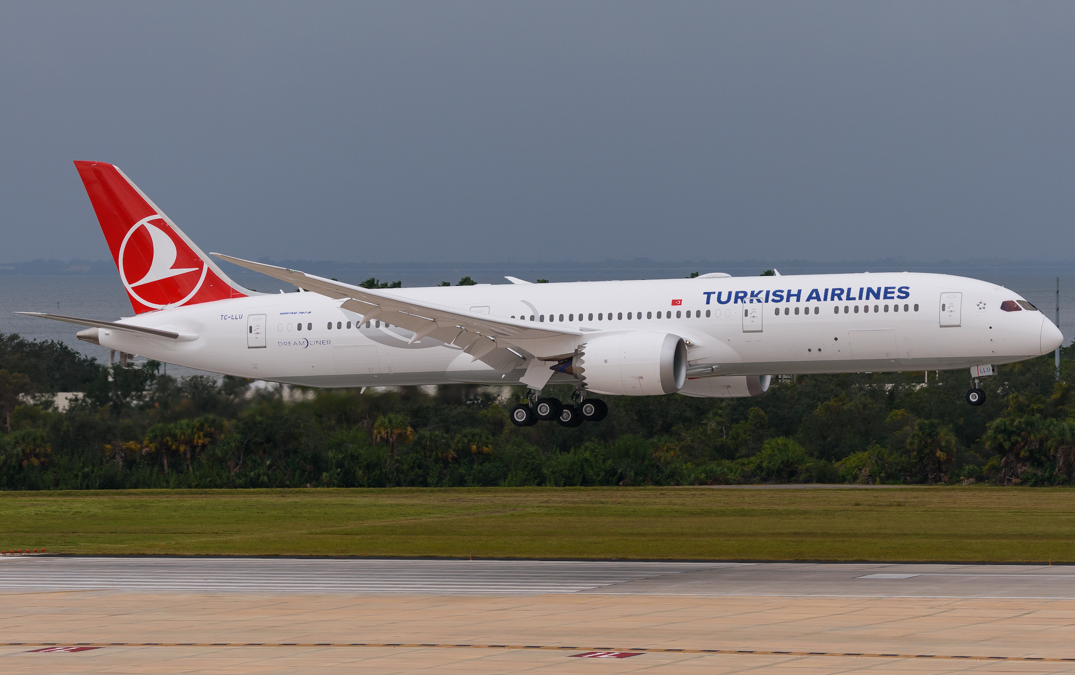 Full size: Turkish Airlines Boeing 787-9 TC-LLU at Tampa International Airport