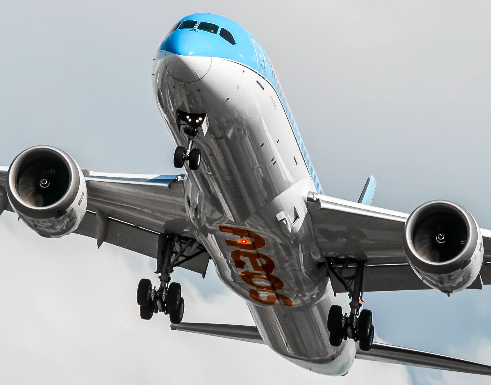Full size: Neos Boeing 787-9 EI-NEU at Lester B Pearson International Airport