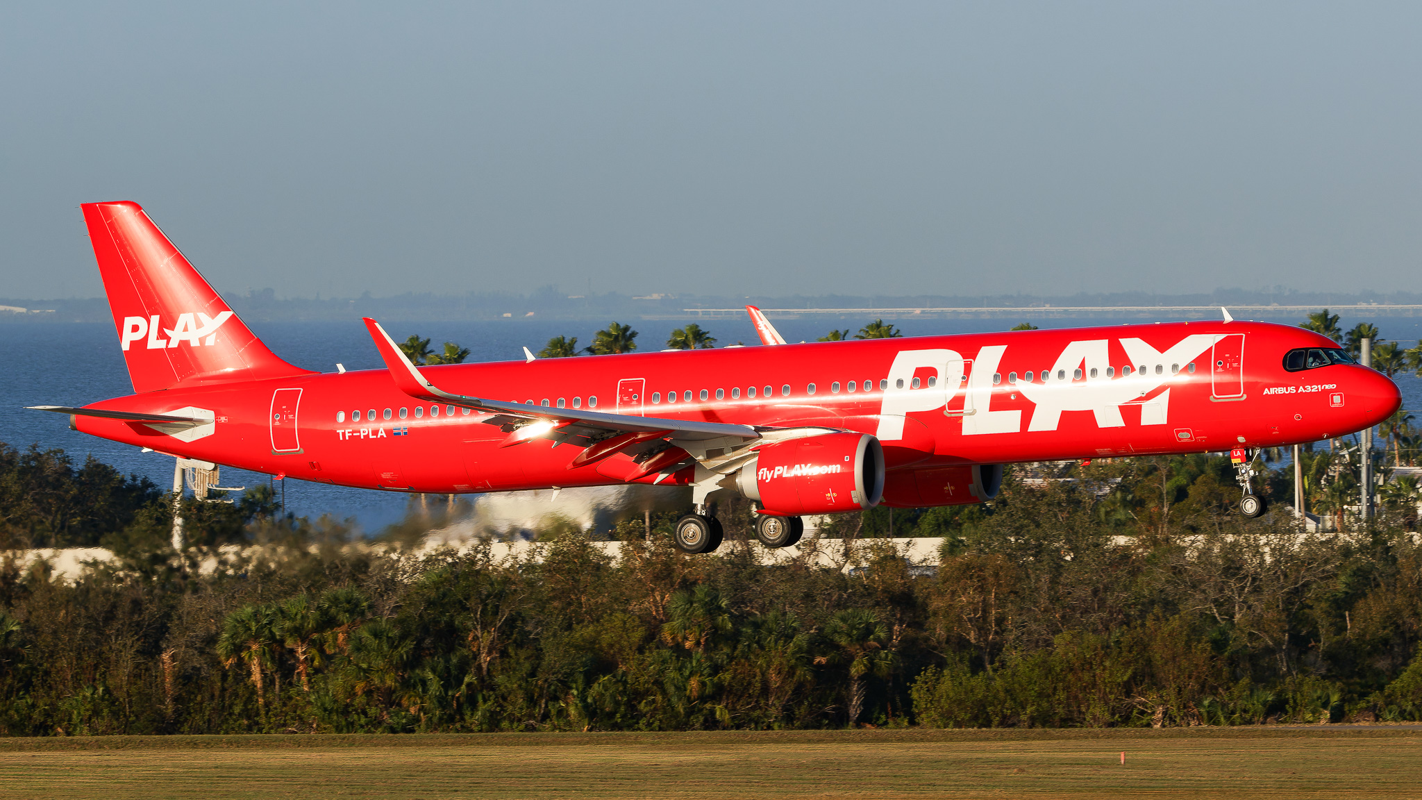 Full size: Play Airlines Airbus A321NEO TF-PLA at Tampa International Airport