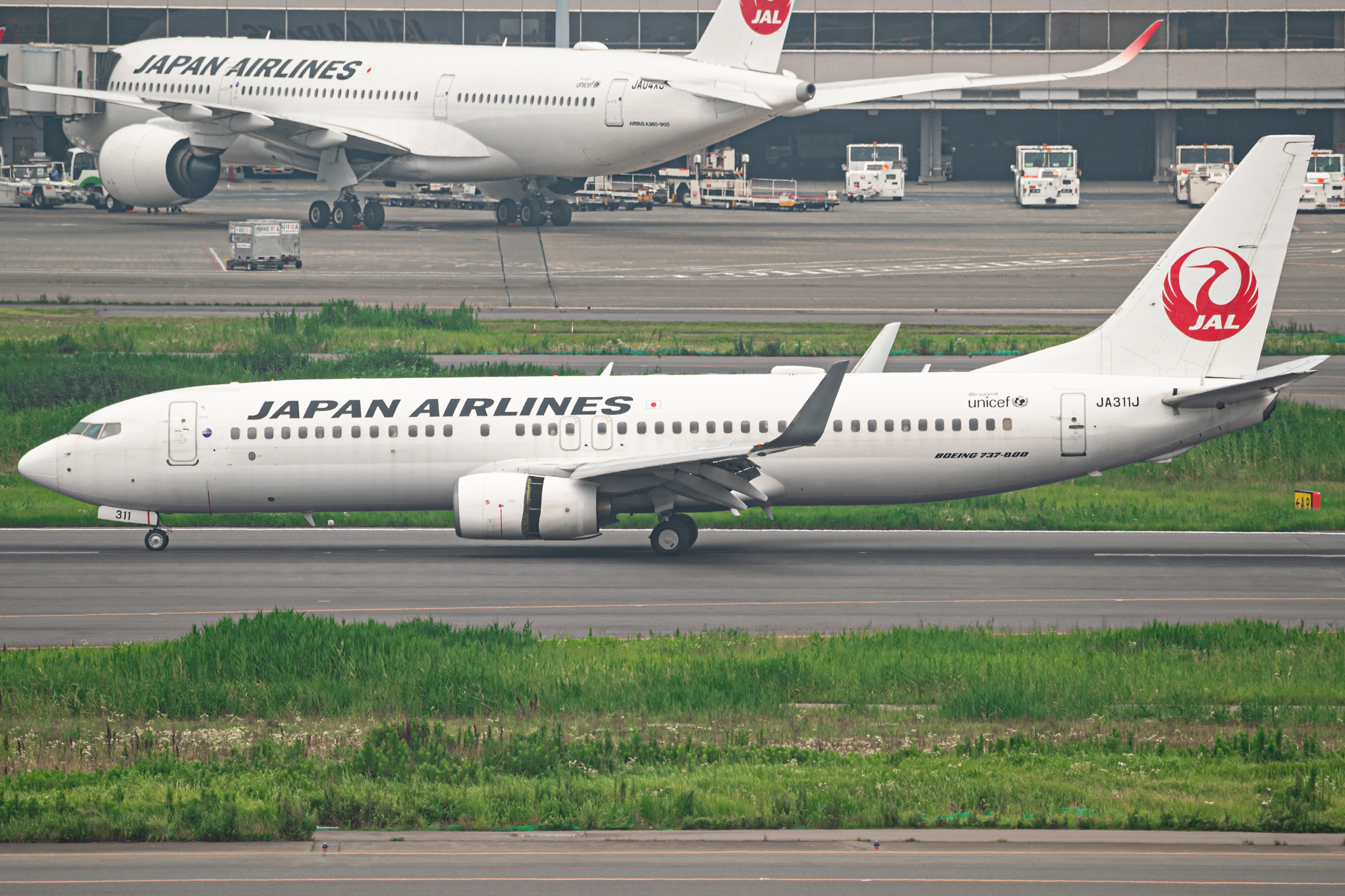 Full size: Japan Airlines Boeing 737-800 JA311J at Tokyo-Haneda Airport