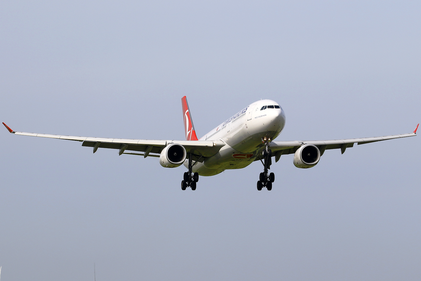 Full size: Turkish Airlines Airbus A330-300 TC-JNR at Amsterdam Schiphol Airport