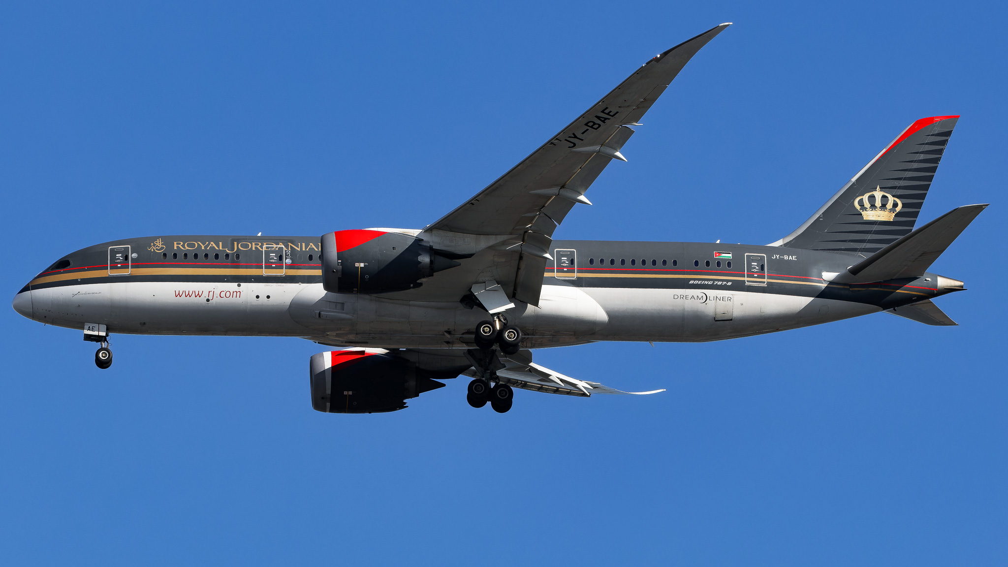 Full size: Royal Jordanian  Boeing 787-8 JY-BAE at John F. Kennedy International Airport