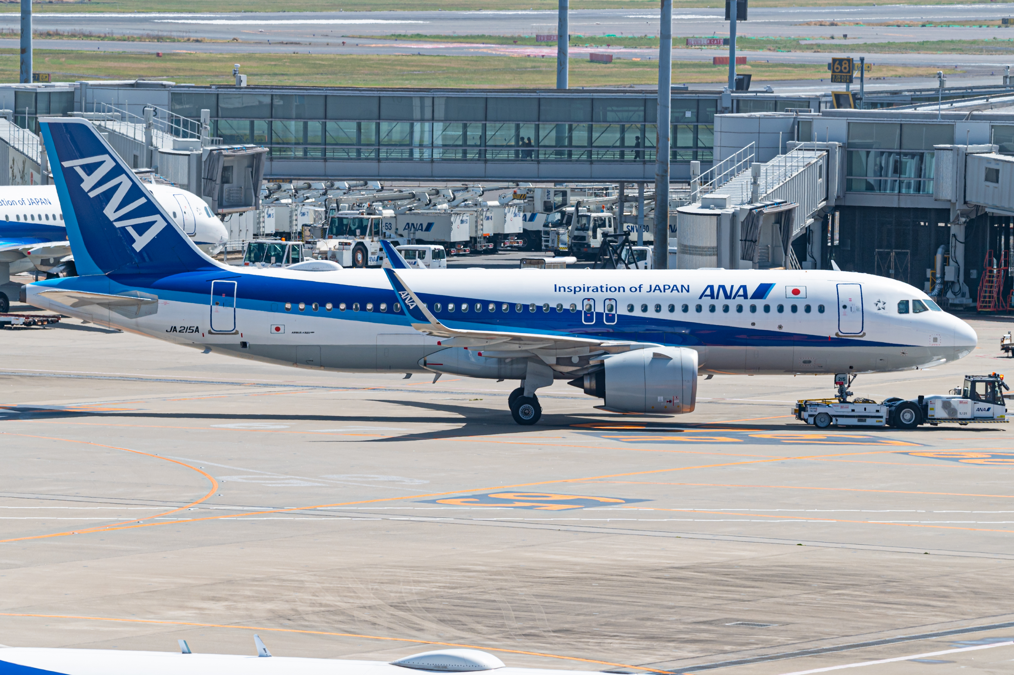 Full size: All Nippon Airways Airbus A320NEO JA215A at Tokyo-Haneda Airport