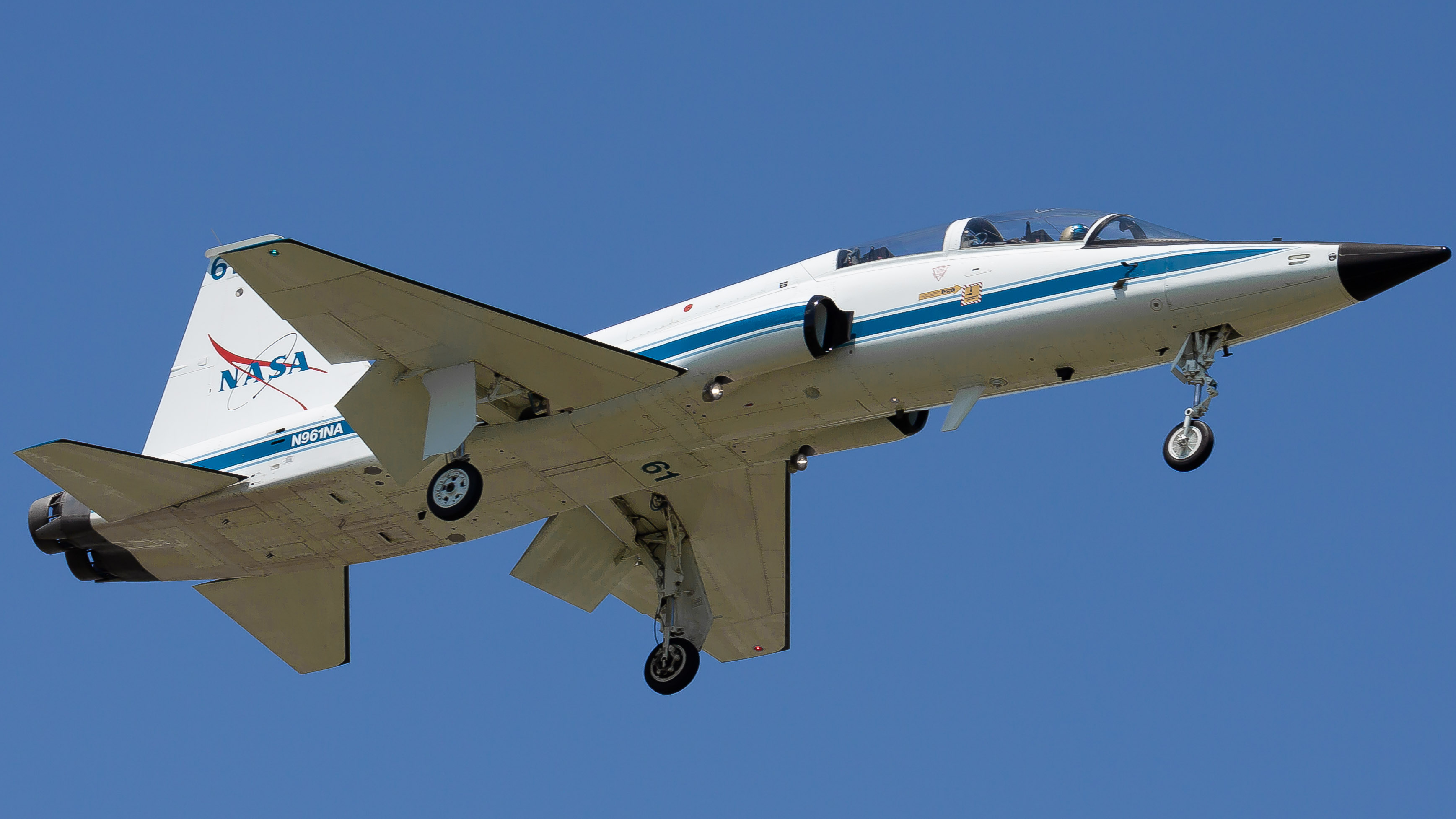 Full size: NASA Northrop T-38 Talon N961NA at Ellington Airport