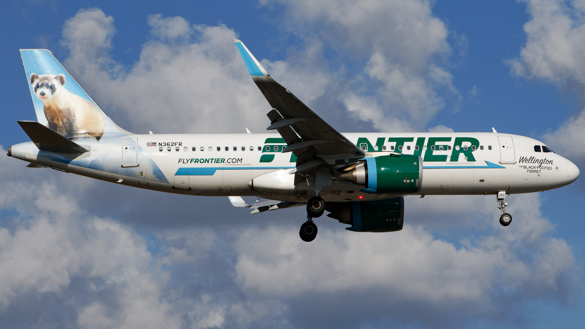 Full size: Frontier Airlines Airbus A320NEO N362FR at Tampa International Airport