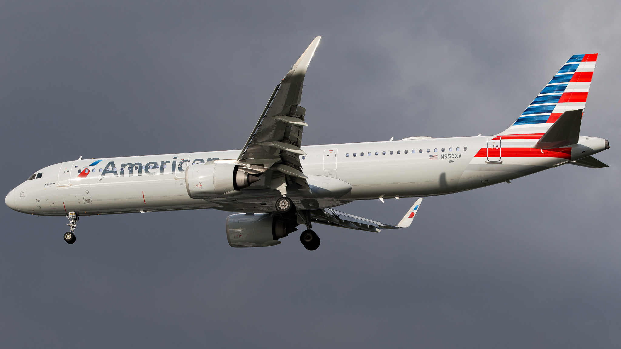 Full size: American Airlines Airbus A321NEO N956XV at Tampa International Airport