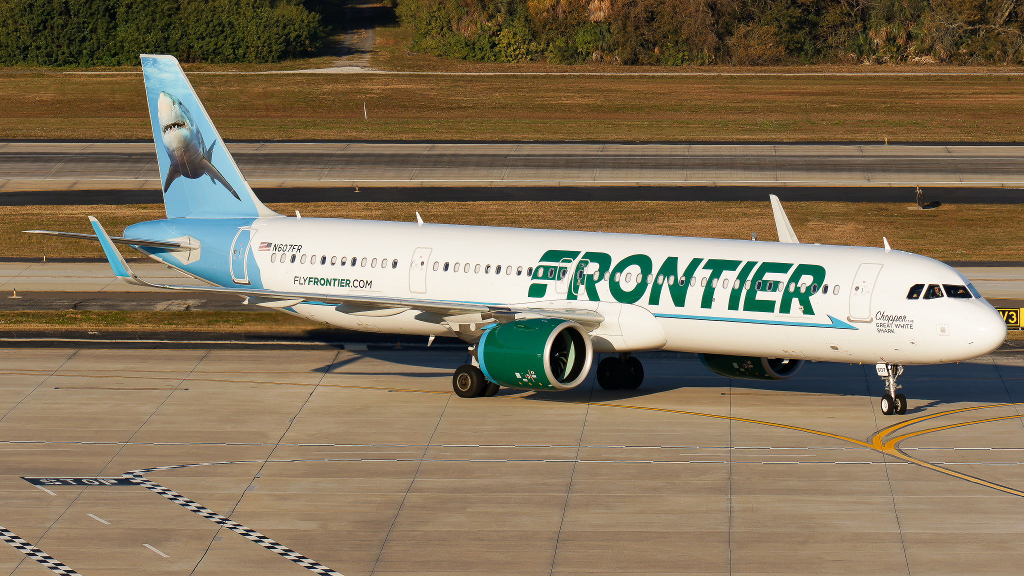 Full size: Frontier Airlines Airbus A321NEO N607FR at Tampa International Airport