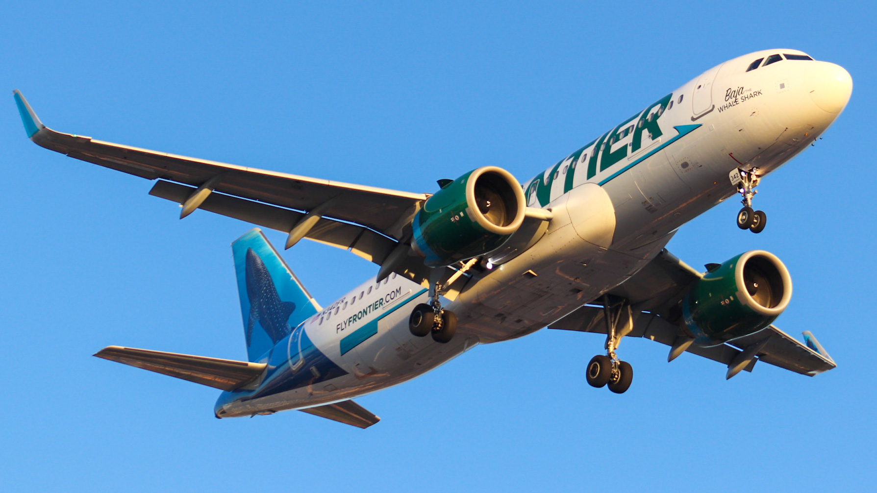 Full size: Frontier Airlines Airbus A320NEO N342FR at Harry Reid International Airport