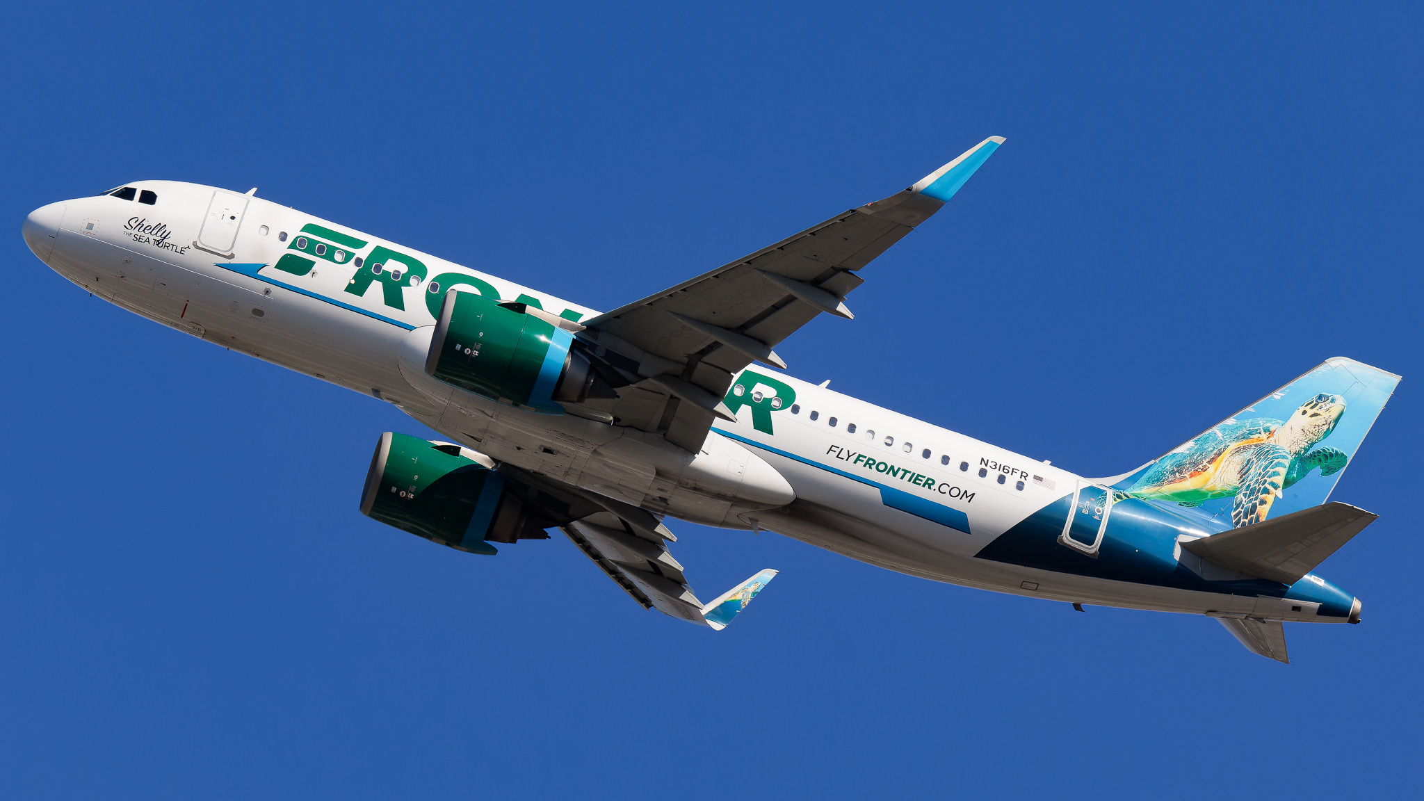Full size: Frontier Airlines Airbus A320NEO N316FR at Tampa International Airport