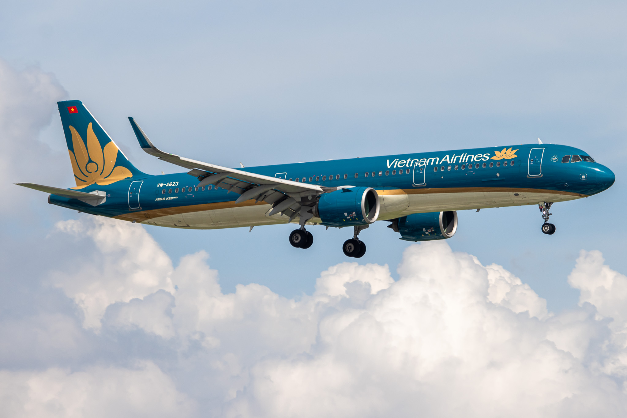 Full size: Vietnam Airlines Airbus A321NEO VN-A623 at Tan Son Nhat International Airport