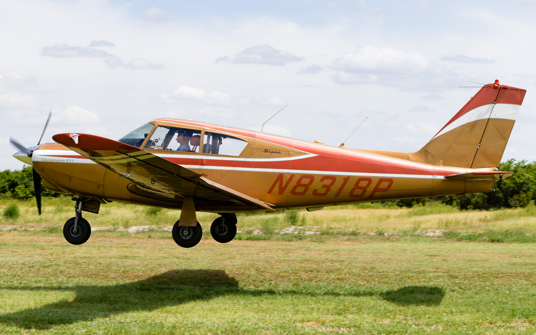 Full size: PRIVATE Piper PA-24-250 Comanche N8318P at 