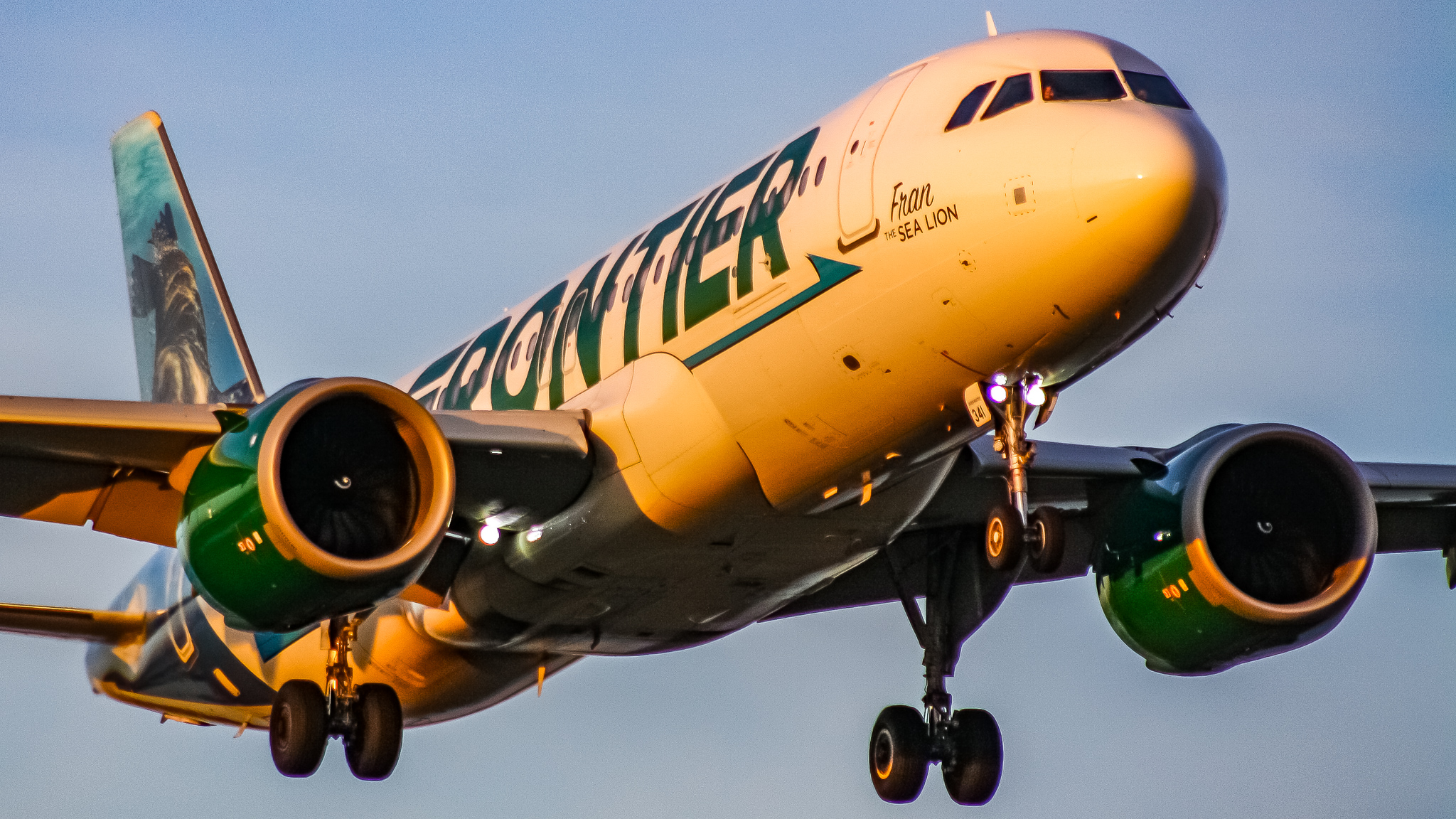 Full size: Frontier Airlines Airbus A320neo N341FR at Ronald Reagan National Airport