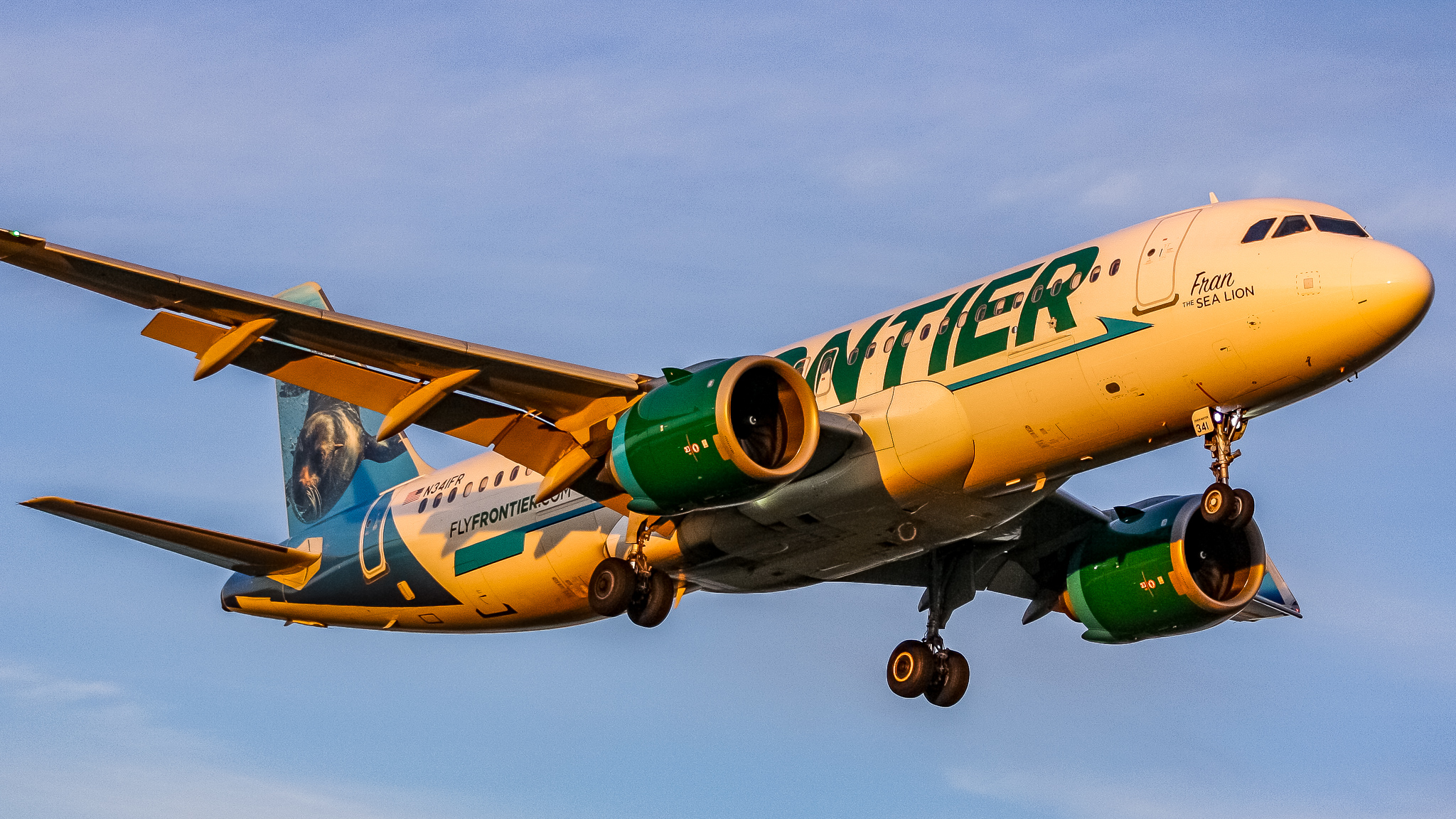 Full size: Frontier Airlines Airbus A320neo N341FR at Ronald Reagan National Airport