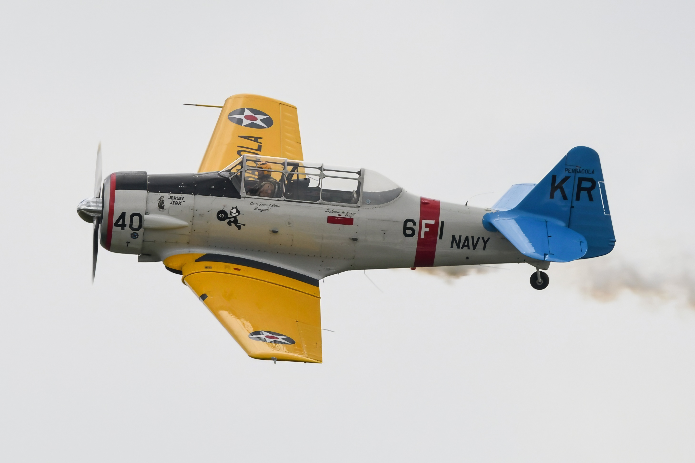 Full size: PRIVATE North American T-6 Texan N211A at Dover Air Force Base