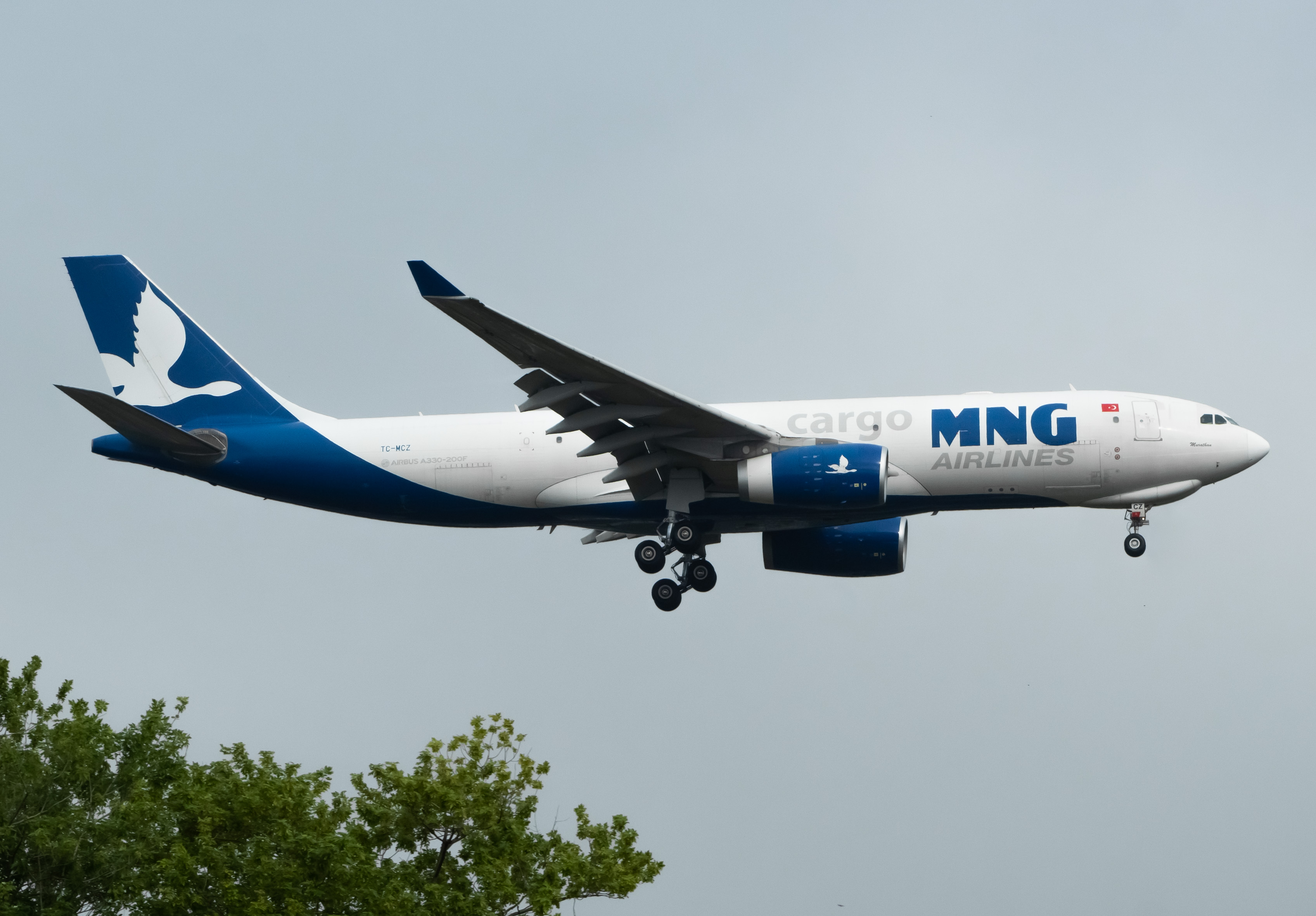 Full size: MNG Cargo Airbus A330-200F TC-MCZ at John F. Kennedy International Airport