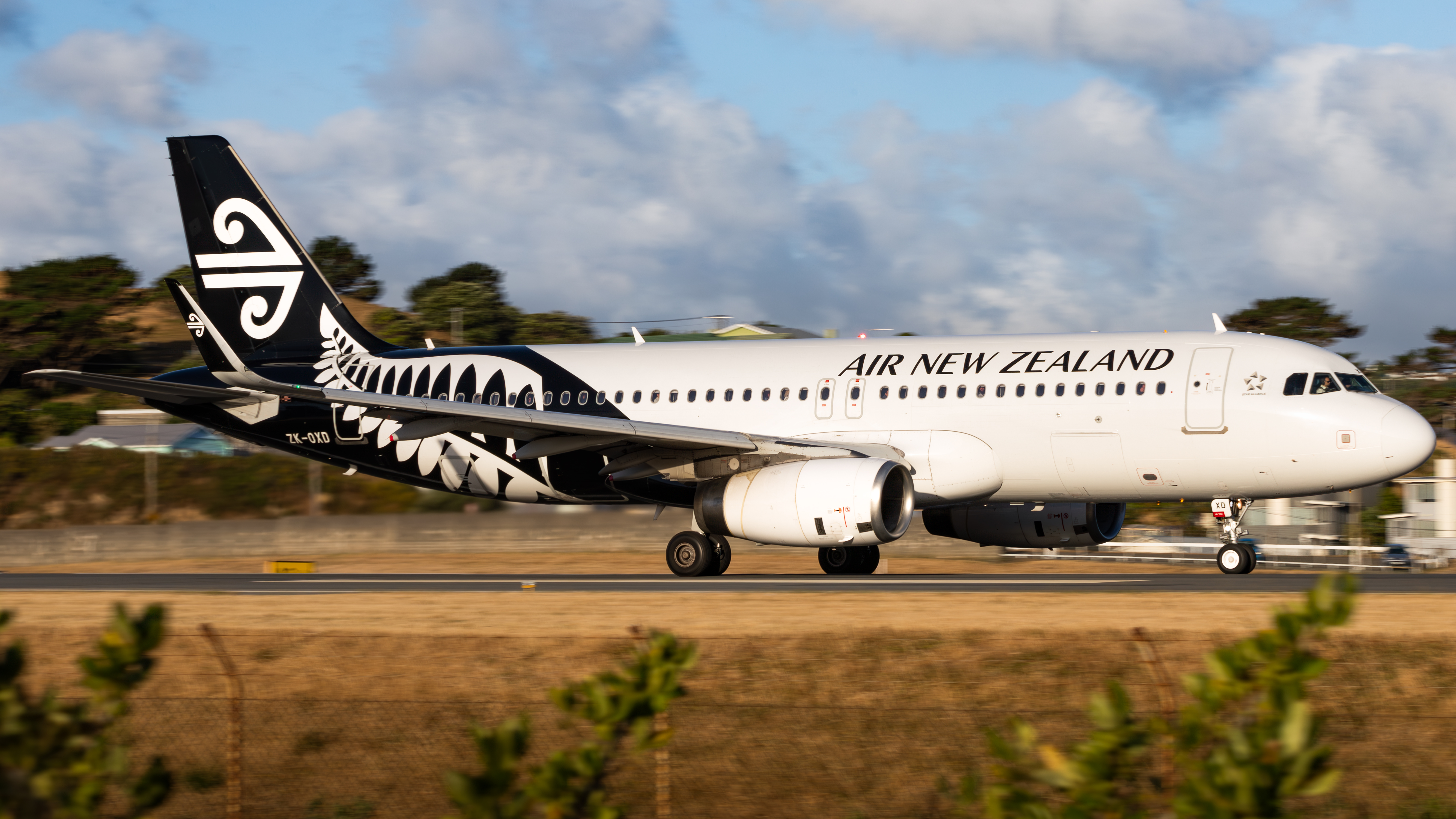 Full size: Air New Zealand Airbus A320 ZK-OXD at Wellington International Airport