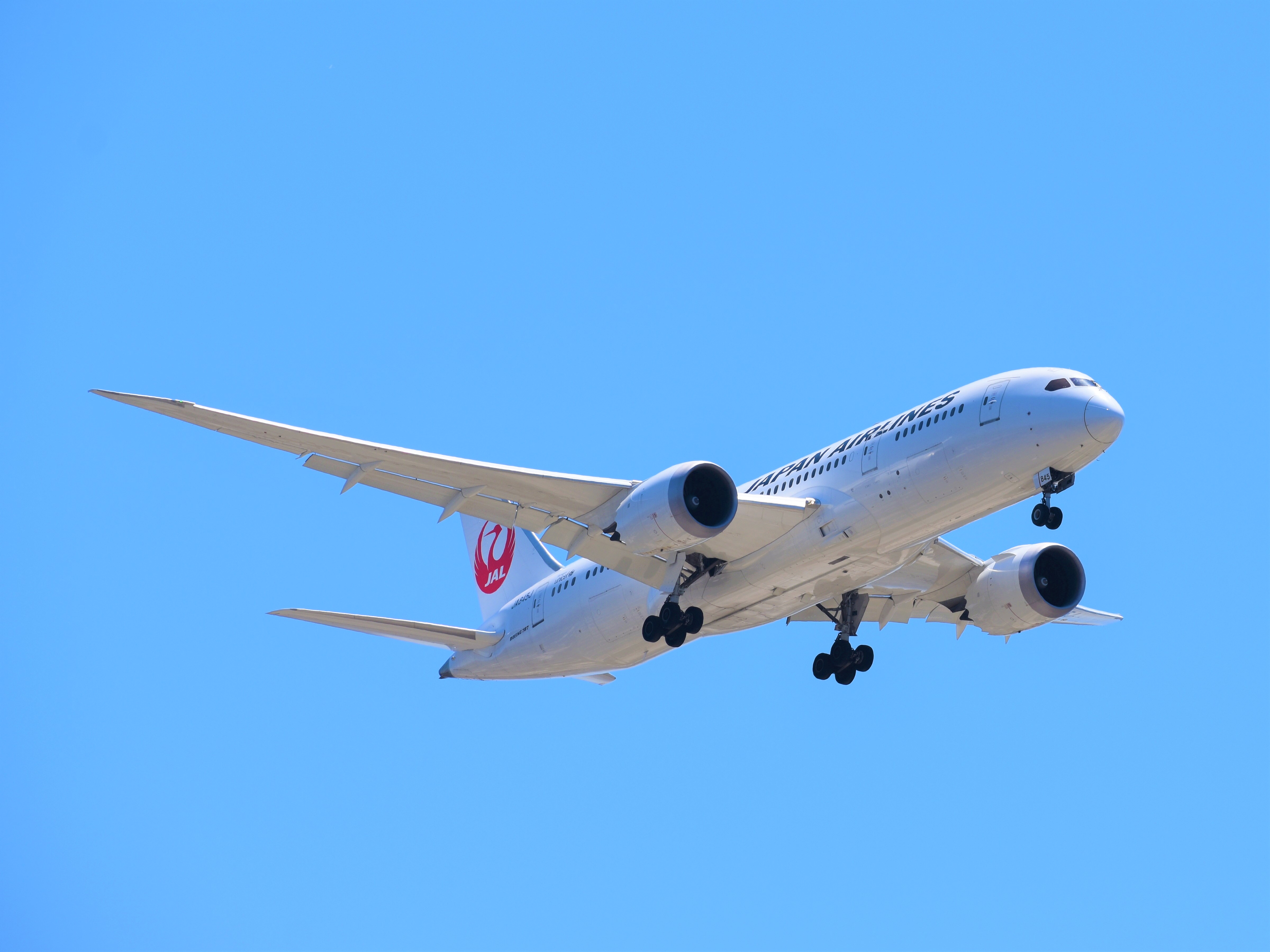 Full size: Japan Airlines  Boeing 787-8 JA845J at San Diego International Airport