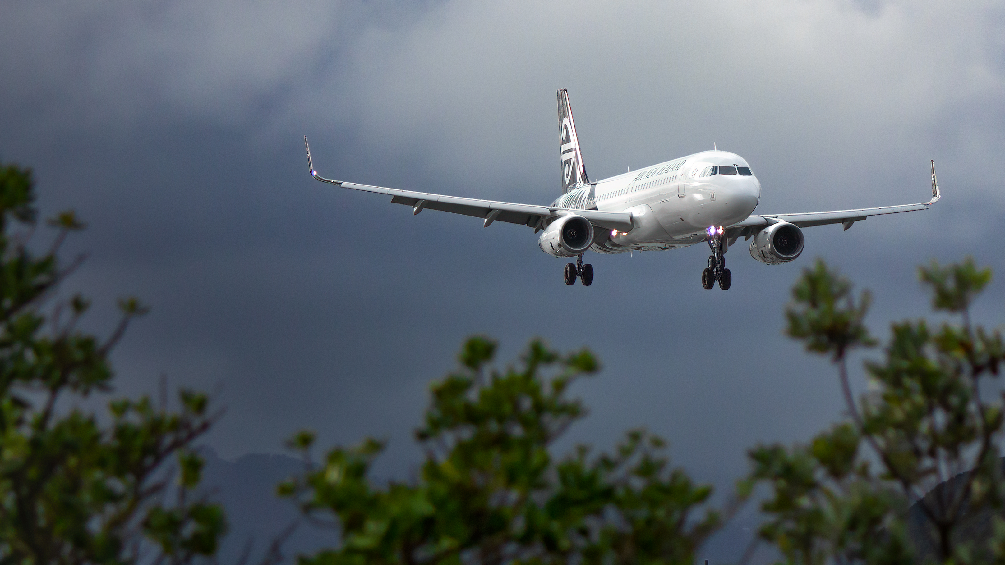 Full size: Air New Zealand Airbus A320 ZK-OXM at Wellington International Airport