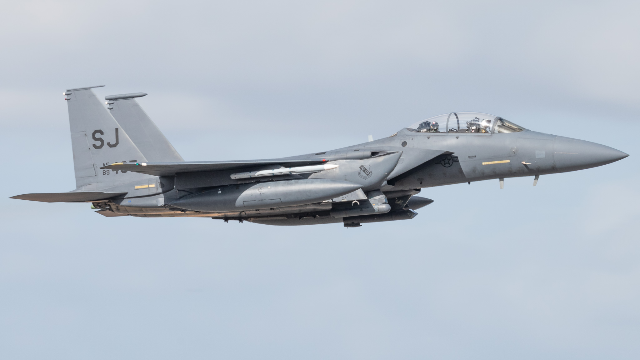Full size: USAF - United States Air Force McDonnell Douglas F-15 Eagle 89-0495 at Seymour Johnson AFB
