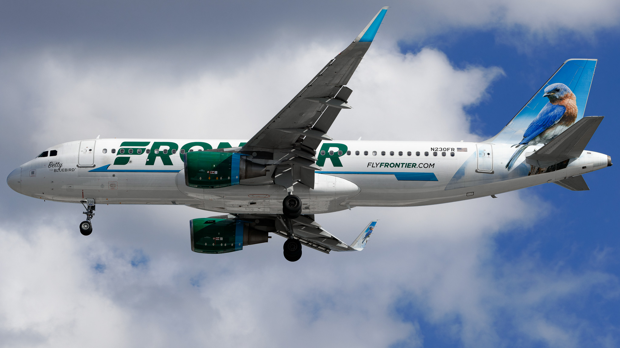 Full size: Frontier Airlines Airbus A320 N230FR at Tampa International Airport