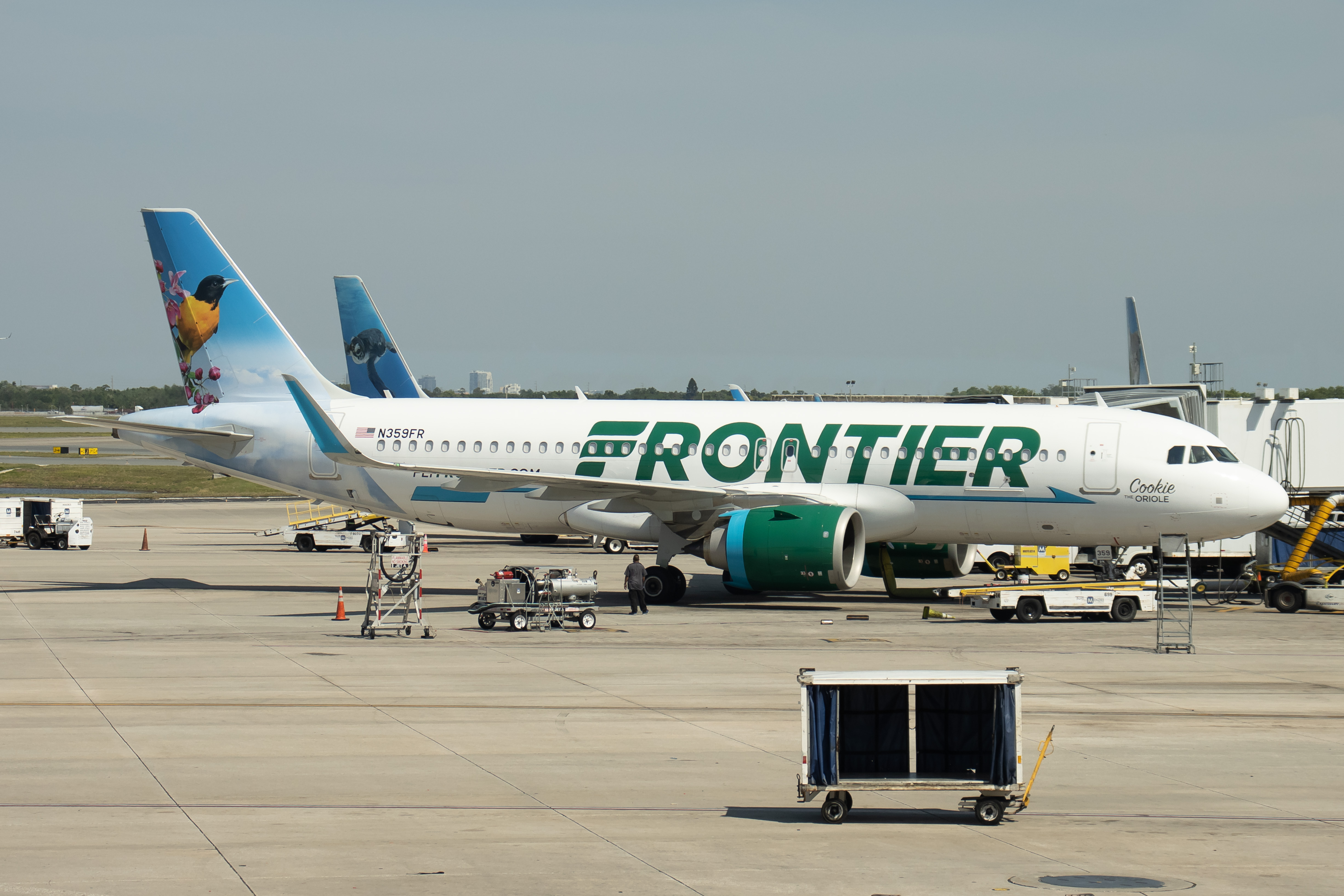 Full size: Frontier Airlines A320NEO N359FR at Orlando International Airport