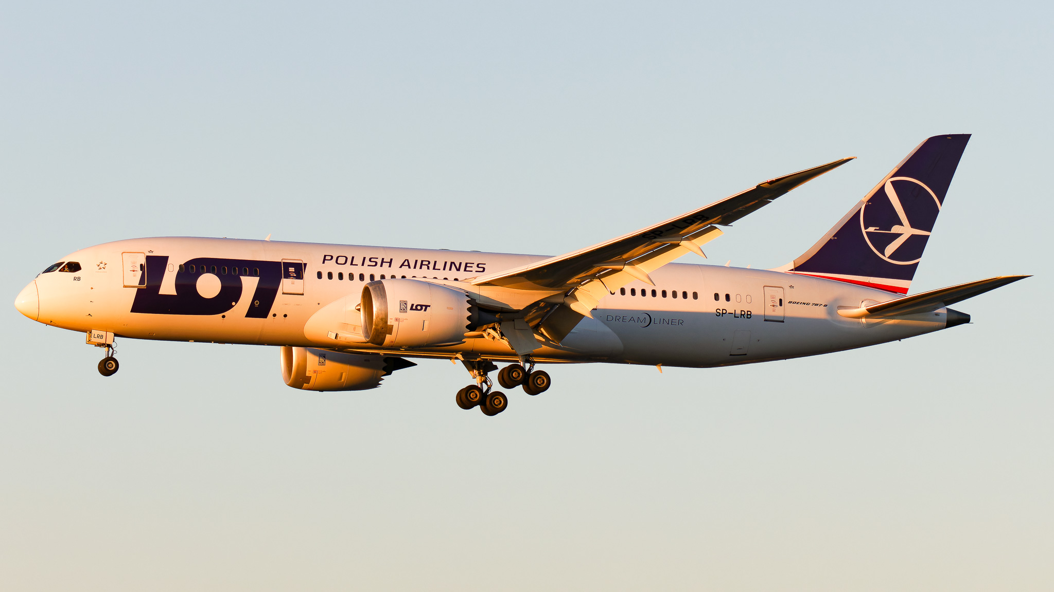 Full size: LOT Polish Airlines Boeing 787-8 SP-LRB at Miami International Airport