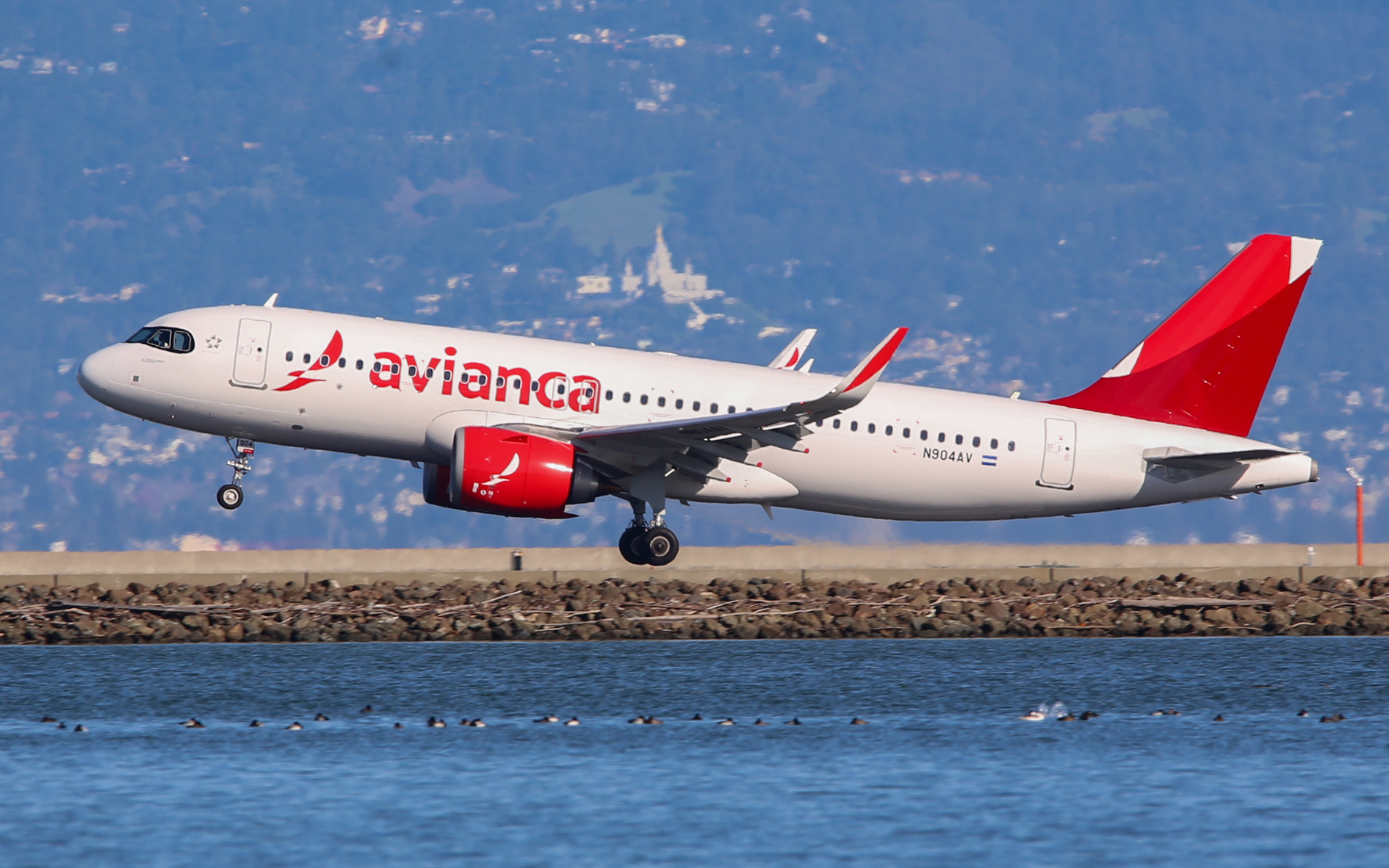 Full size: Avianca Airbus A320NEO N904AV at San Francisco International Airport