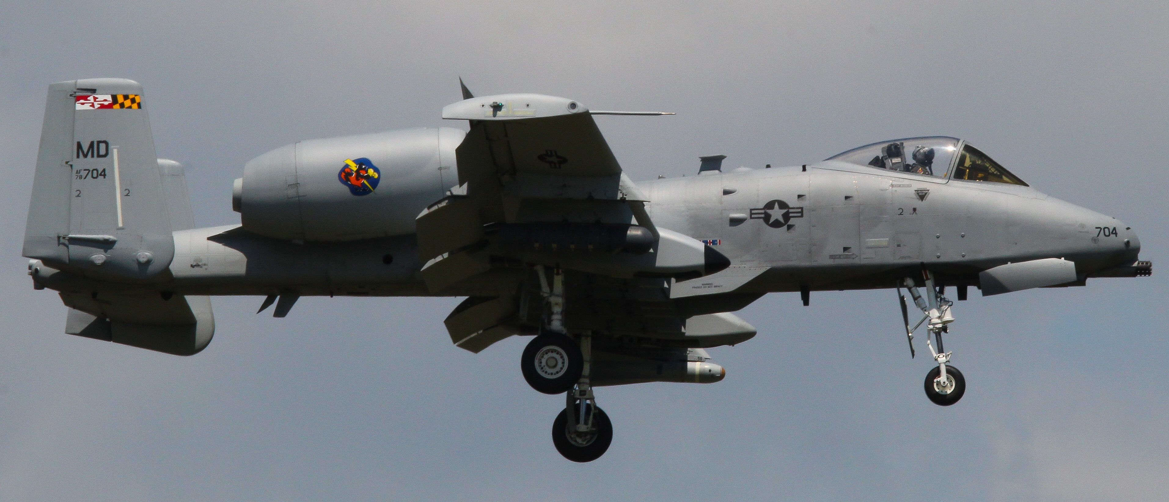 Full size: USAF - United States Air Force Fairchild A-10 Thunderbolt 78-0704 at Martin State Airport