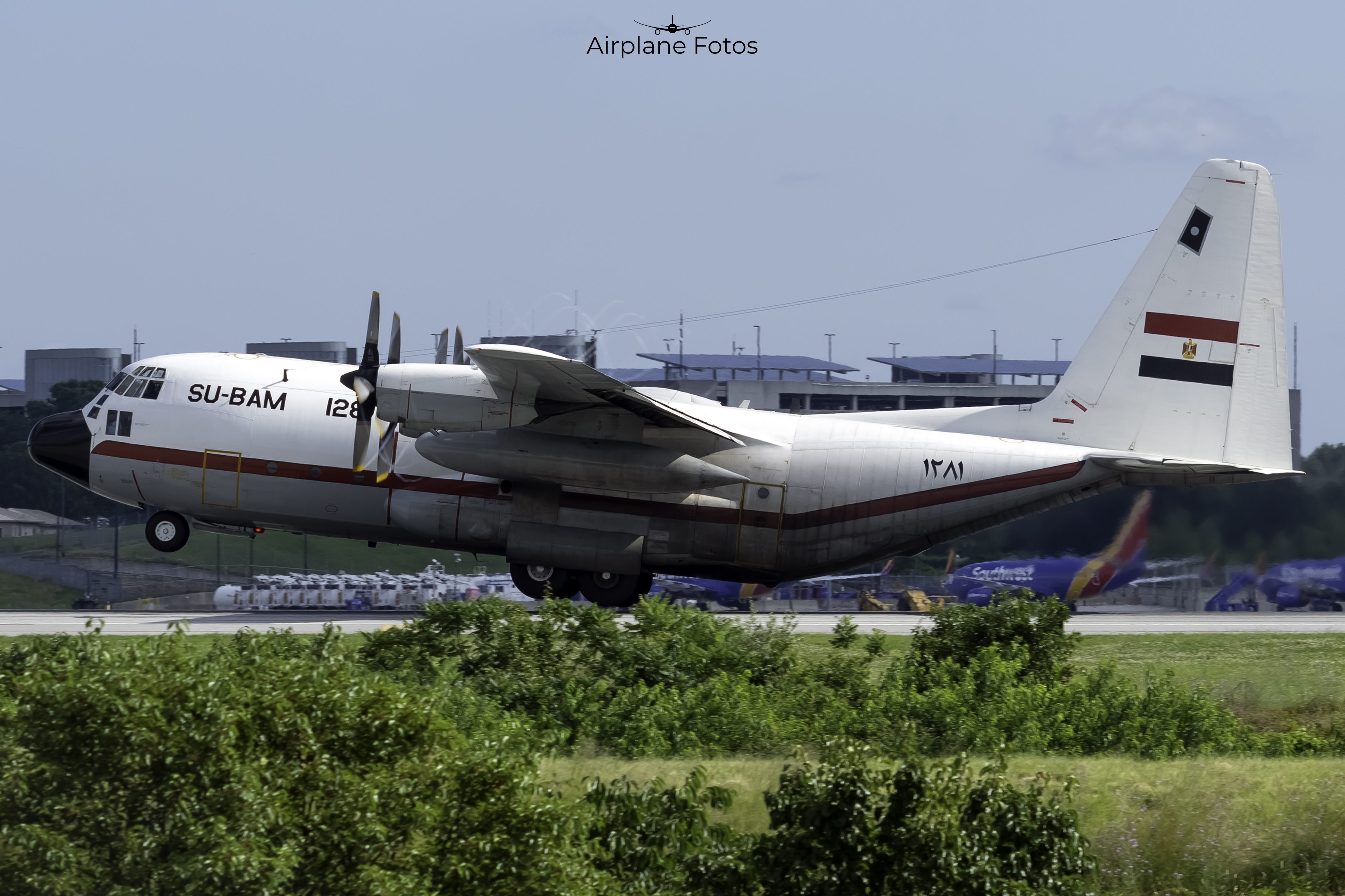 Full size: Egypt Air Force Lockheed VC-130H 1281 at Baltimore/Washington International Thurgood Marshall Airport