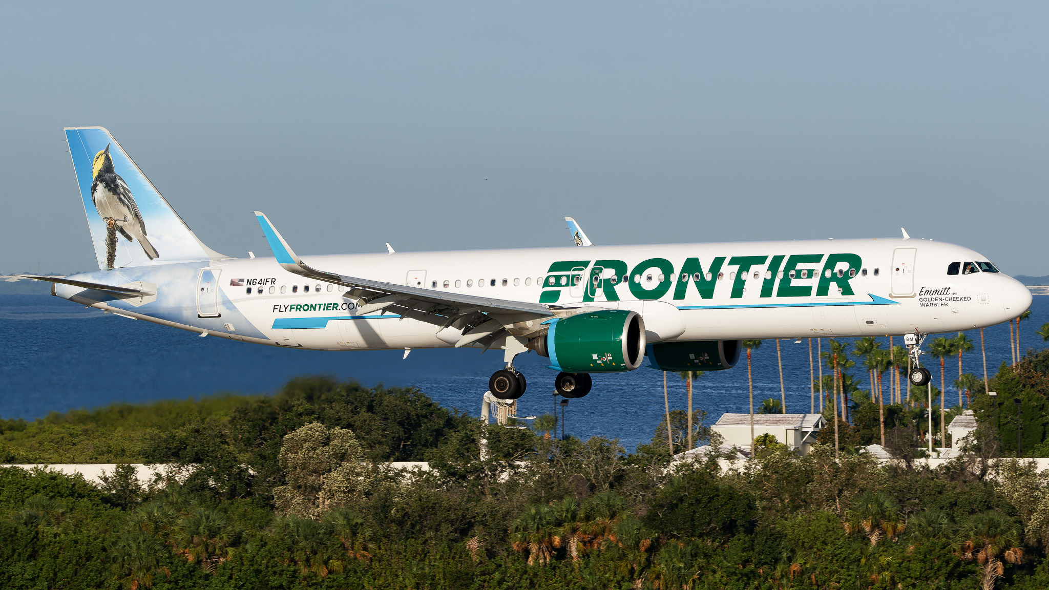 Full size: Frontier Airlines Airbus A321NEO N641FR at Tampa International Airport