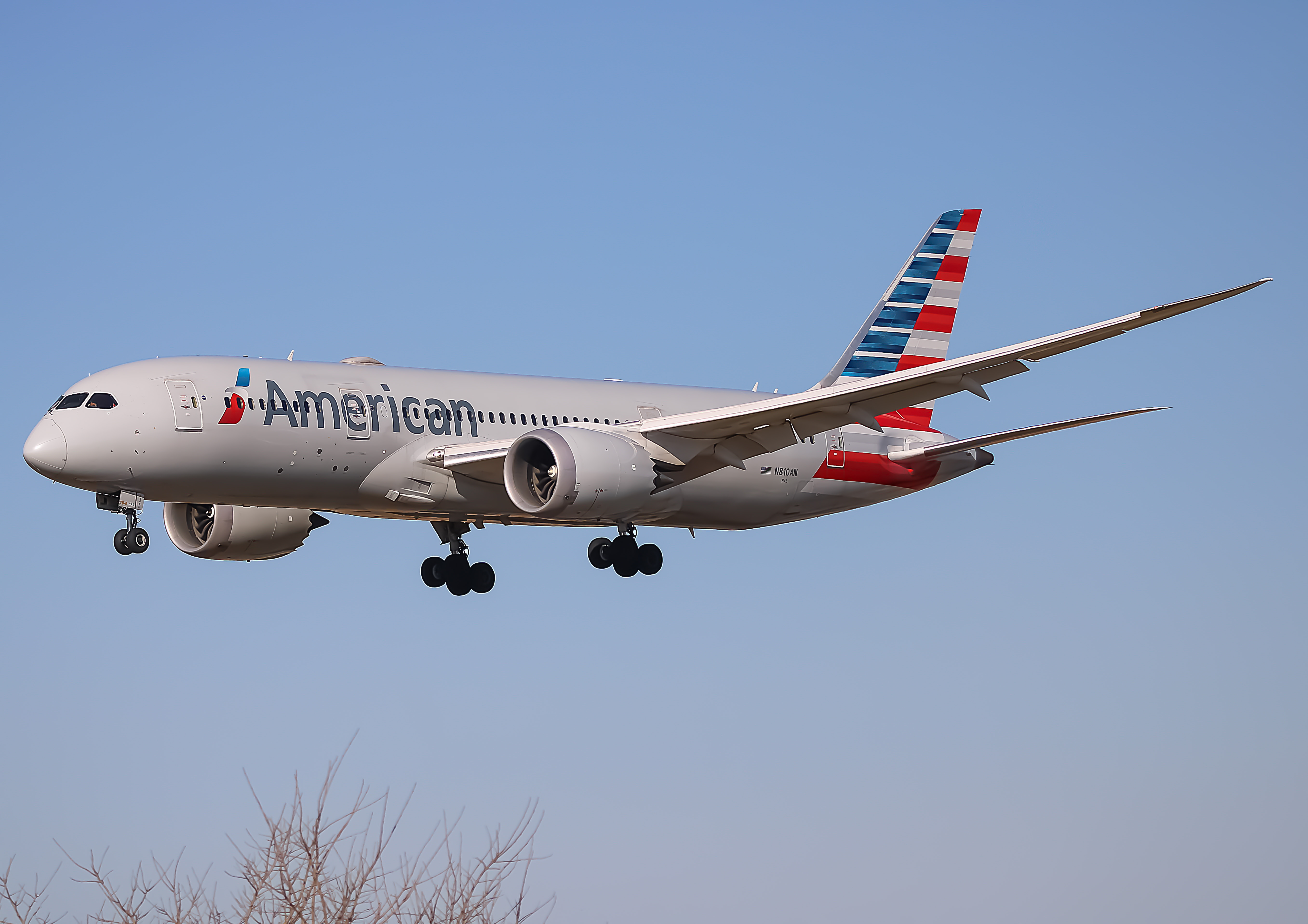 Full size: American Airlines Boeing 787-8 N810AN at Philadelphia International Airport