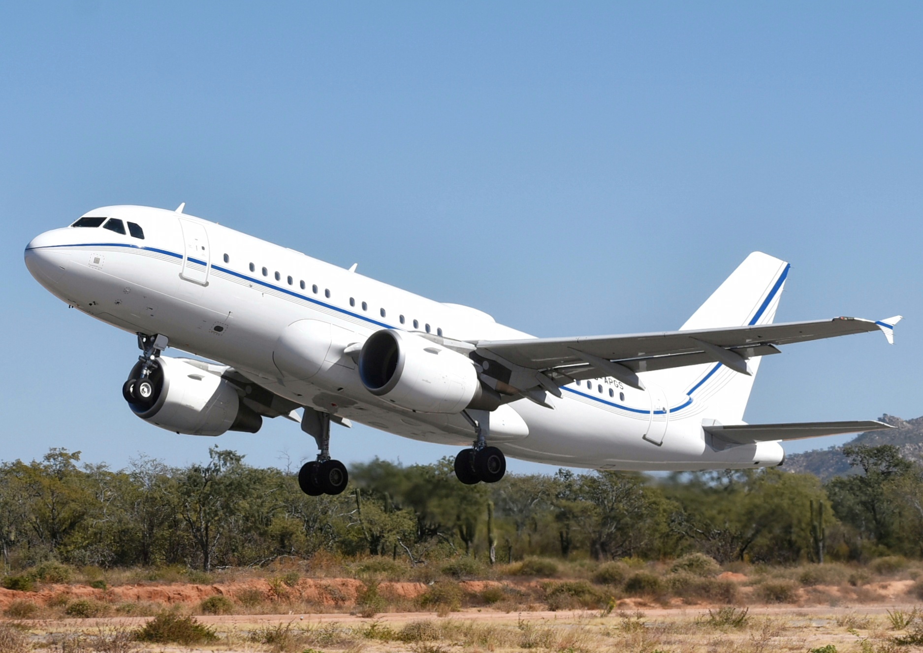Full size: PRIVATE Airbus A319 D-APGS at Aeropuerto de Cabo San Lucas Internacional