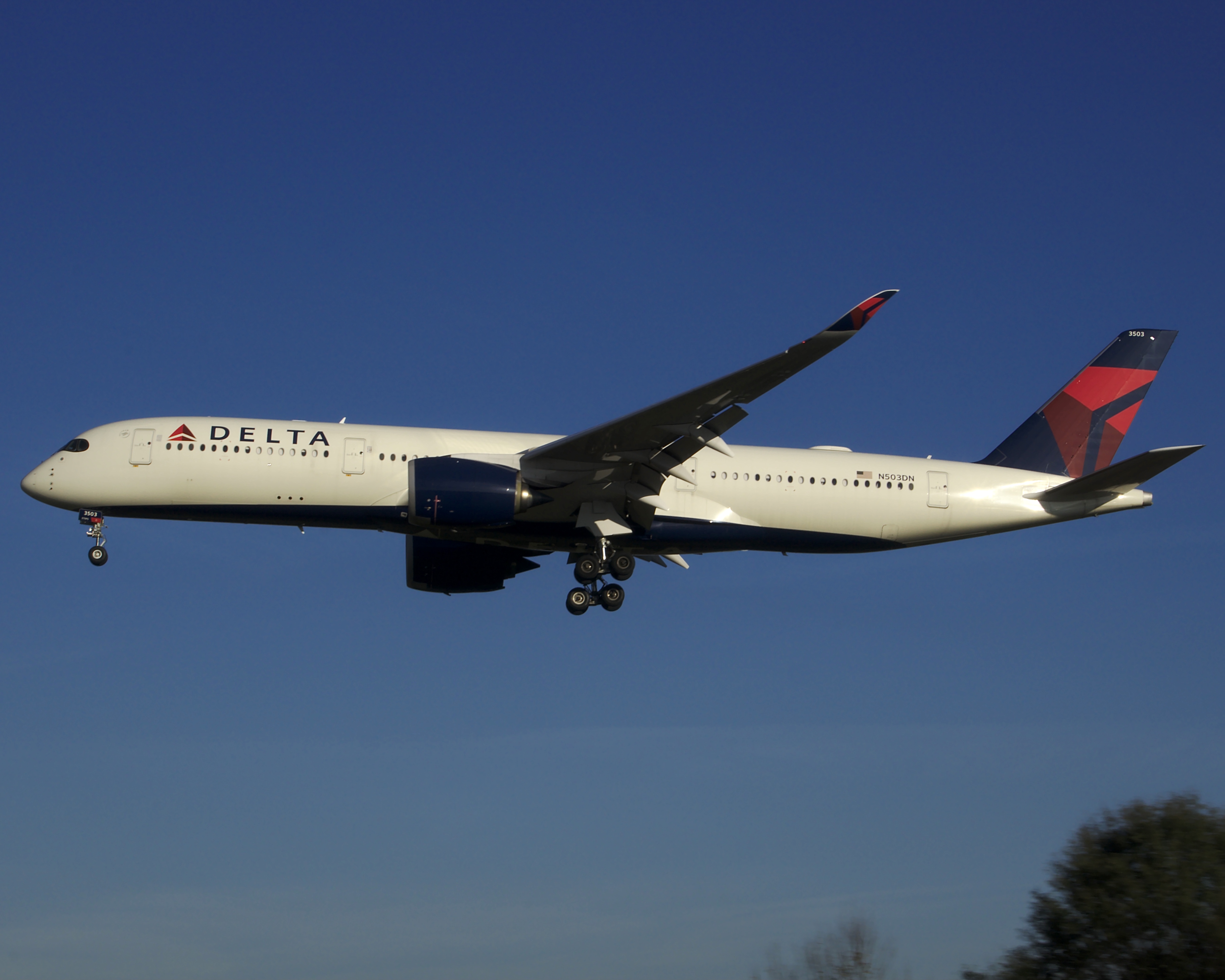 Full size: Delta Airlines Airbus A350-900 N503DN at Charlotte/Douglas International Airport