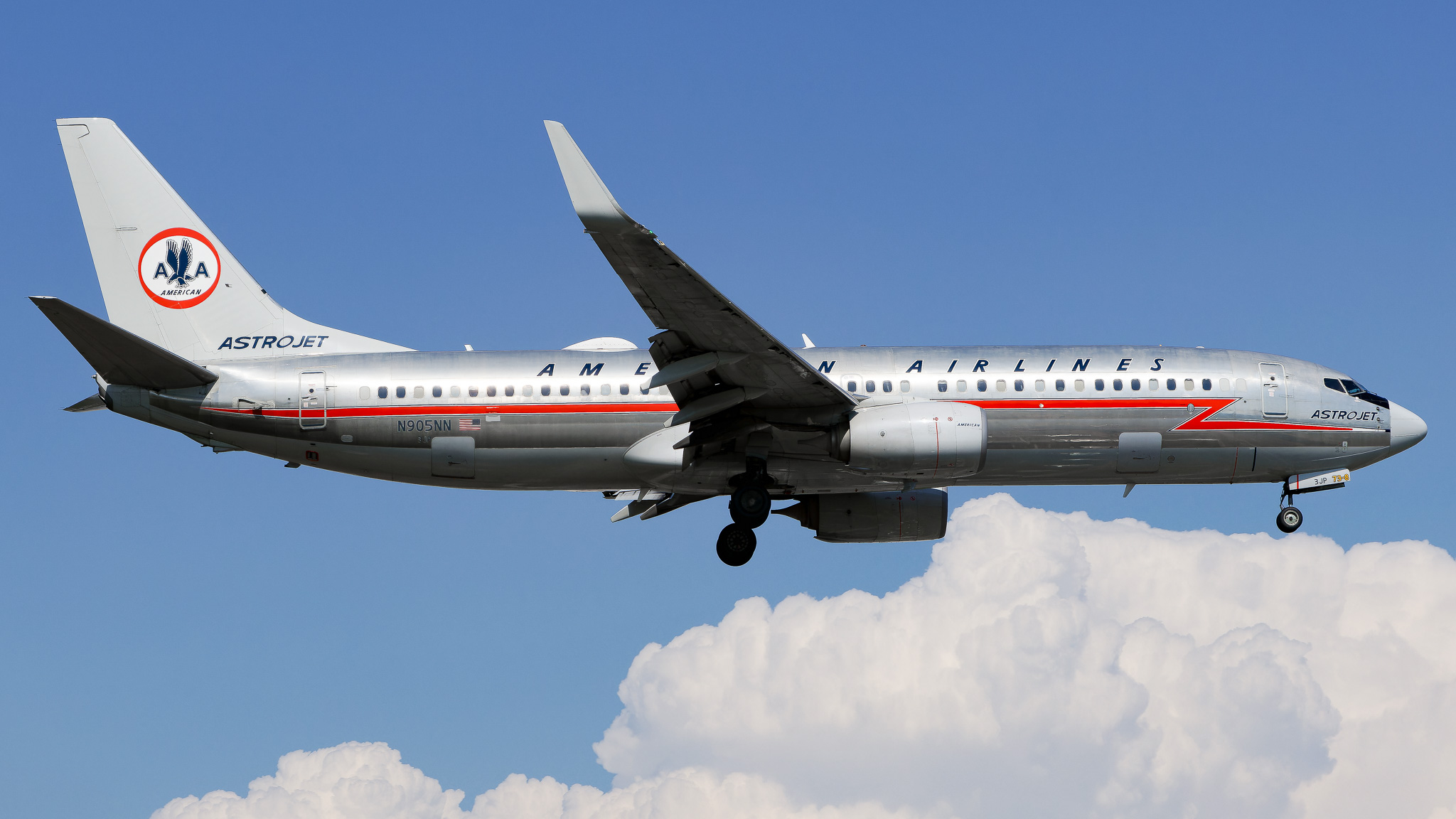 Full size: American Airlines Boeing 737-800 N905NN at Tampa International Airport