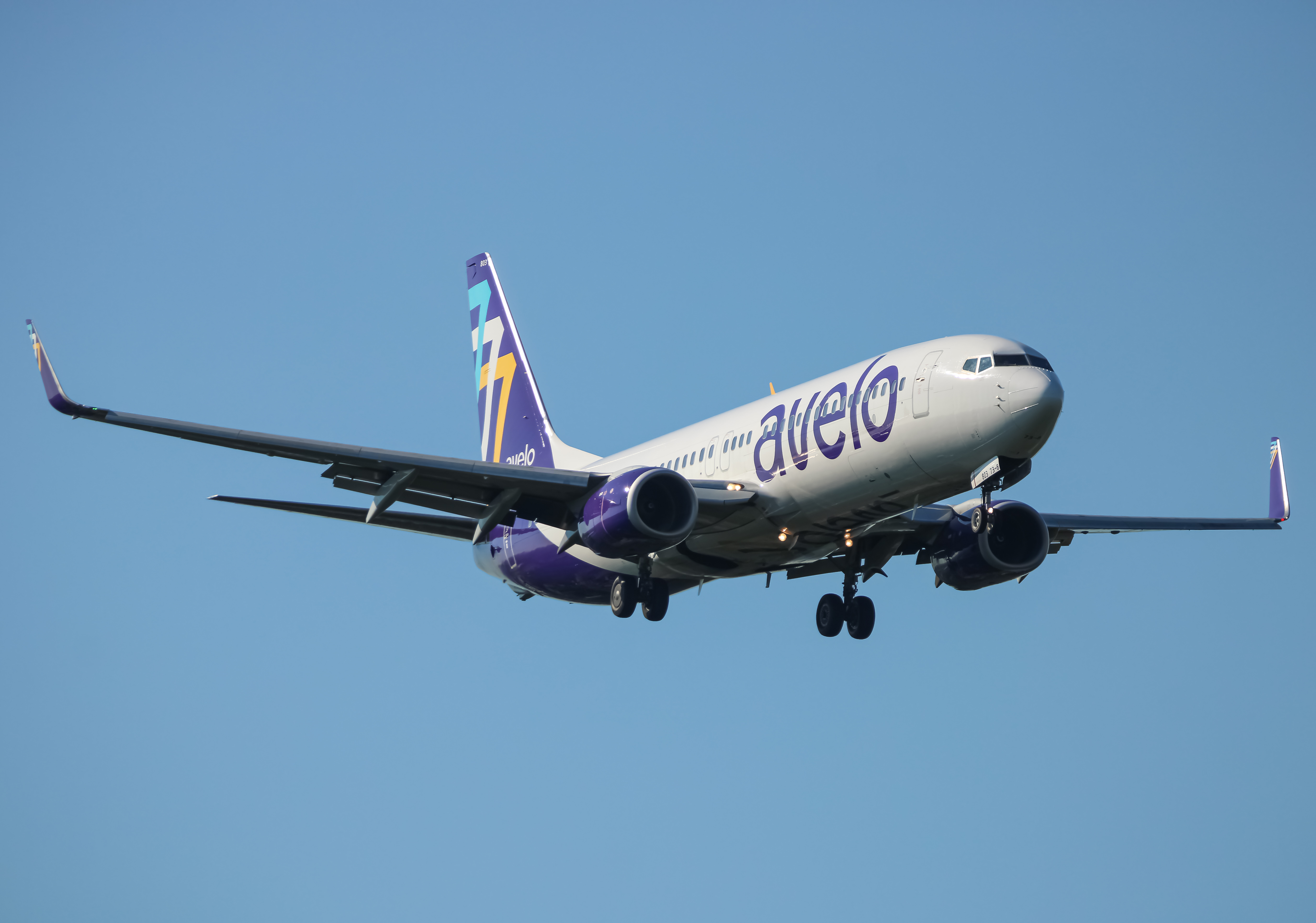 Full size: Avelo Airlines Boeing 737-800 N803XT at Baltimore/Washington International Thurgood Marshall Airport