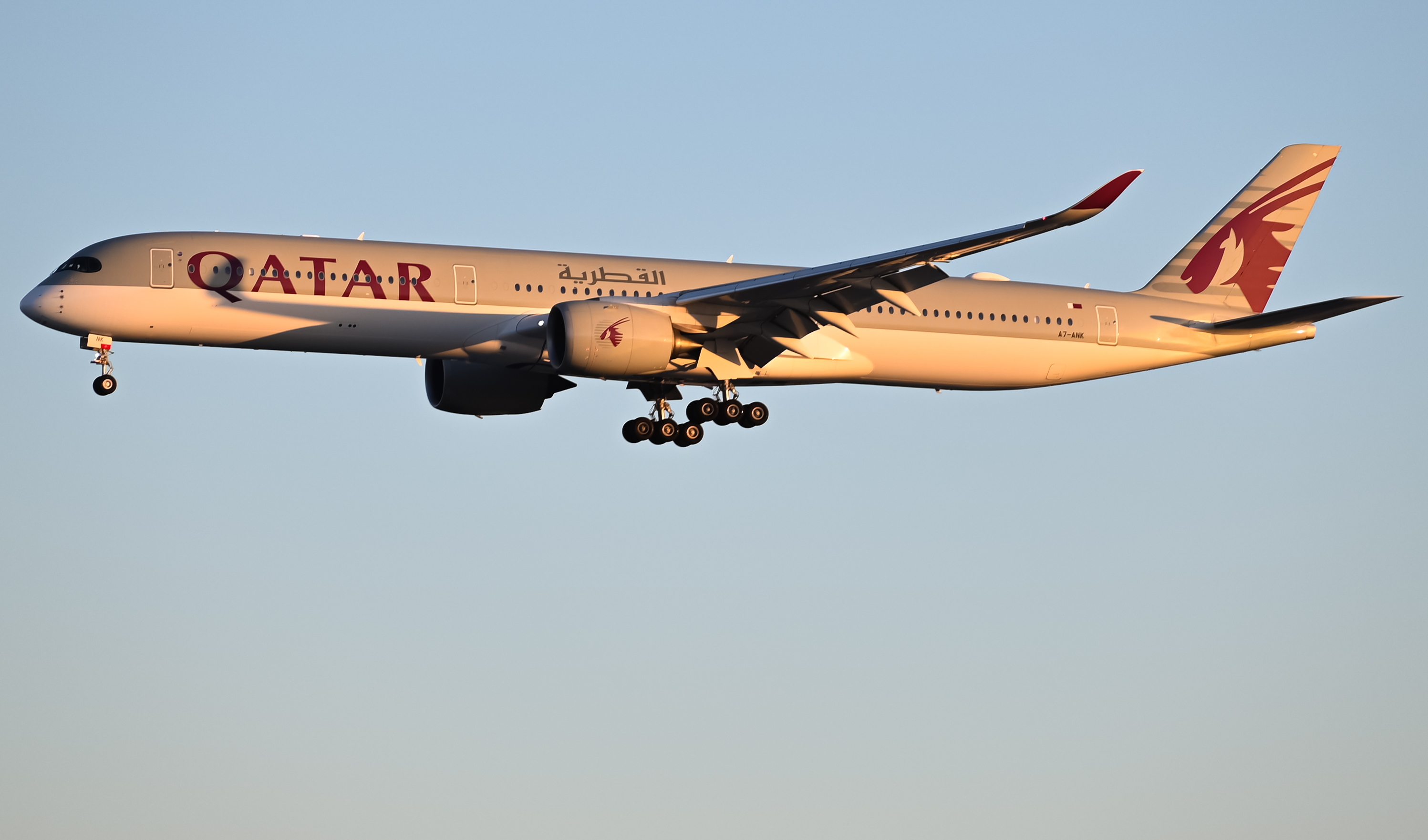 Full size: Qatar Airways Airbus A350-1000 A7-ANK at Los Angeles International Airport