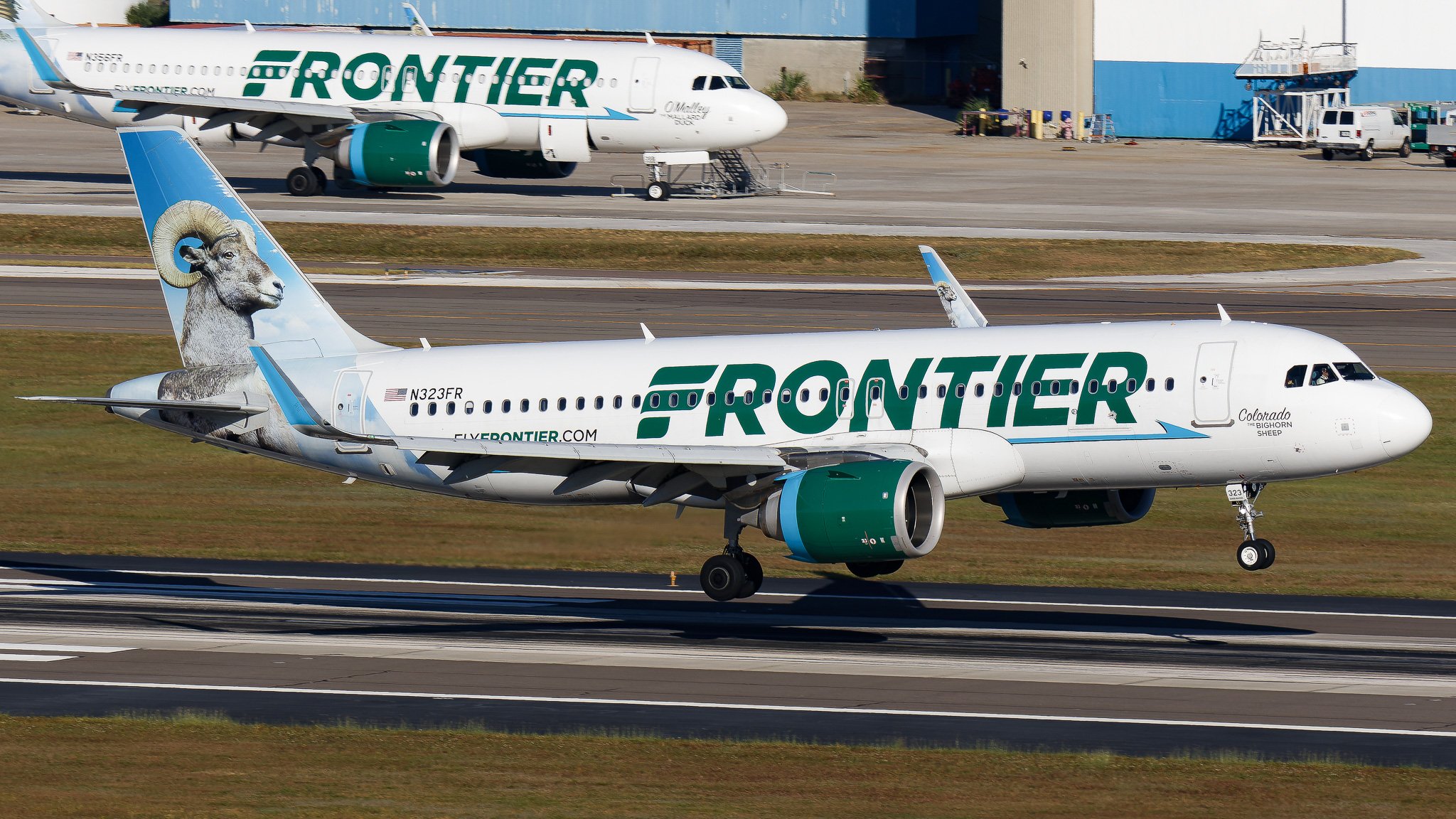 Full size: Frontier Airlines Airbus A320NEO N332FR at Tampa International Airport