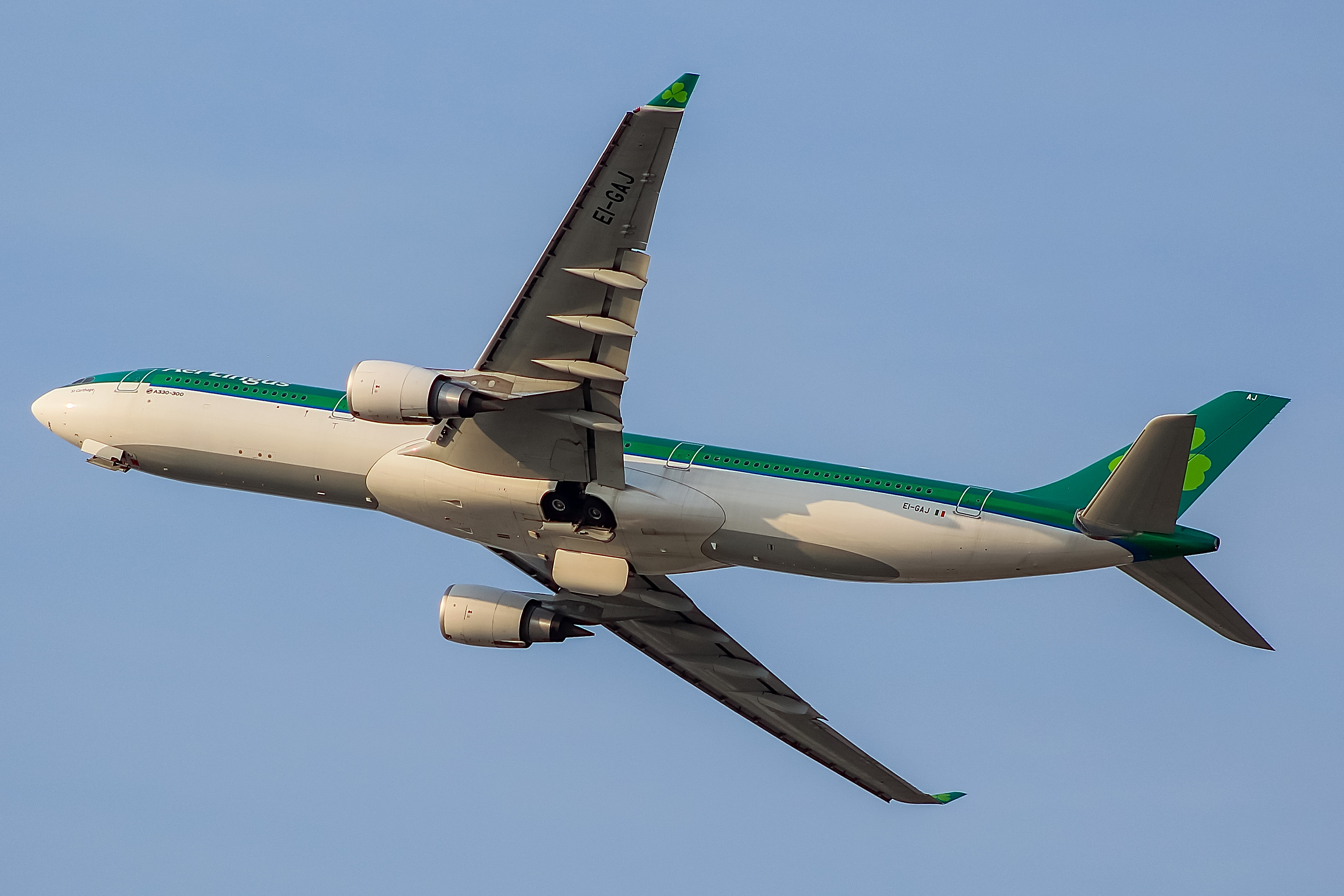 Full size: Aer Lingus Airbus A330-300 EI-GAJ at Chicago O'Hare International Airport