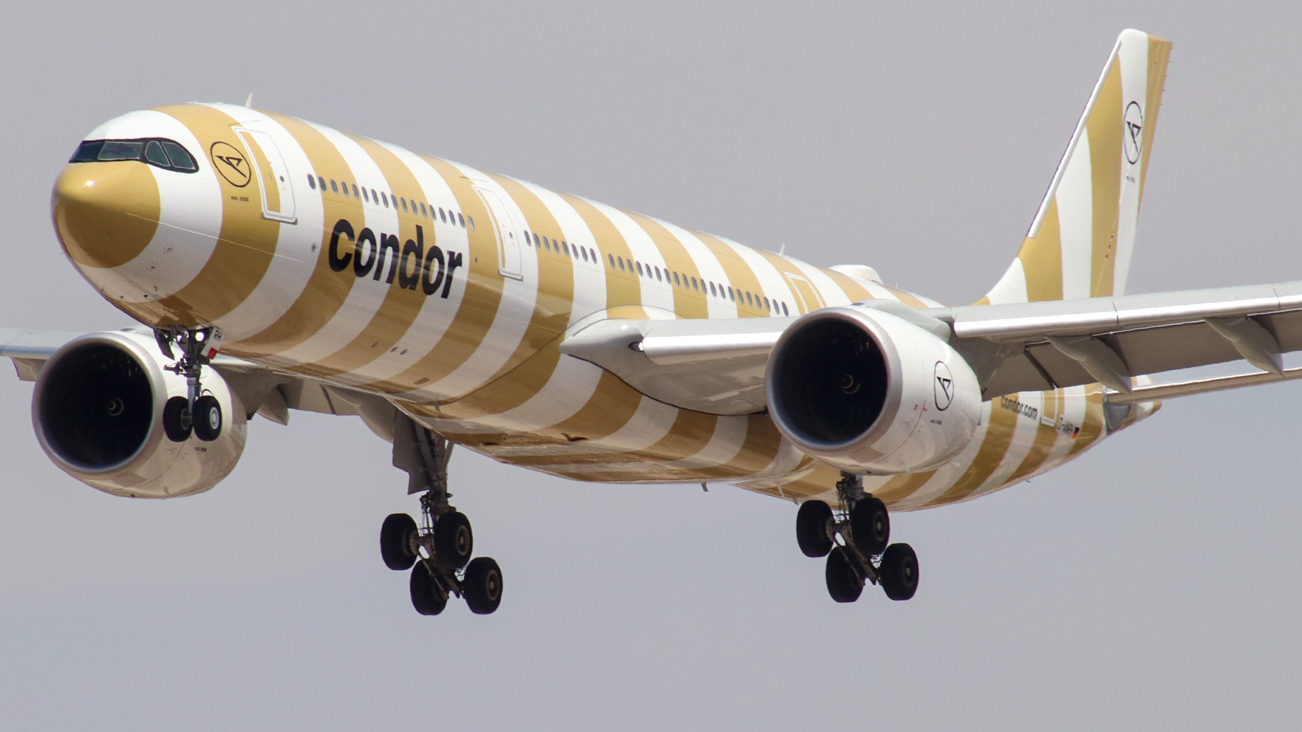 Full size: Condor Airbus A330-900 D-ANRH at Harry Reid International Airport