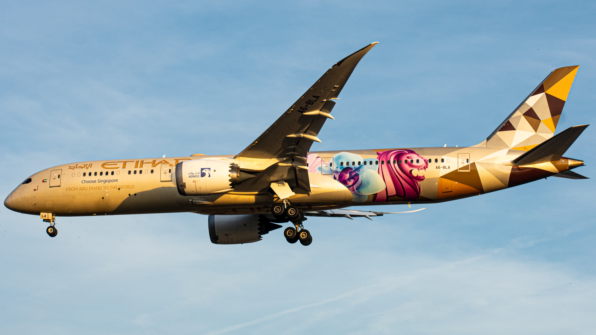 Full size: Etihad Airways Boeing 787-9 A6-BLA at Washington Dulles International Airport
