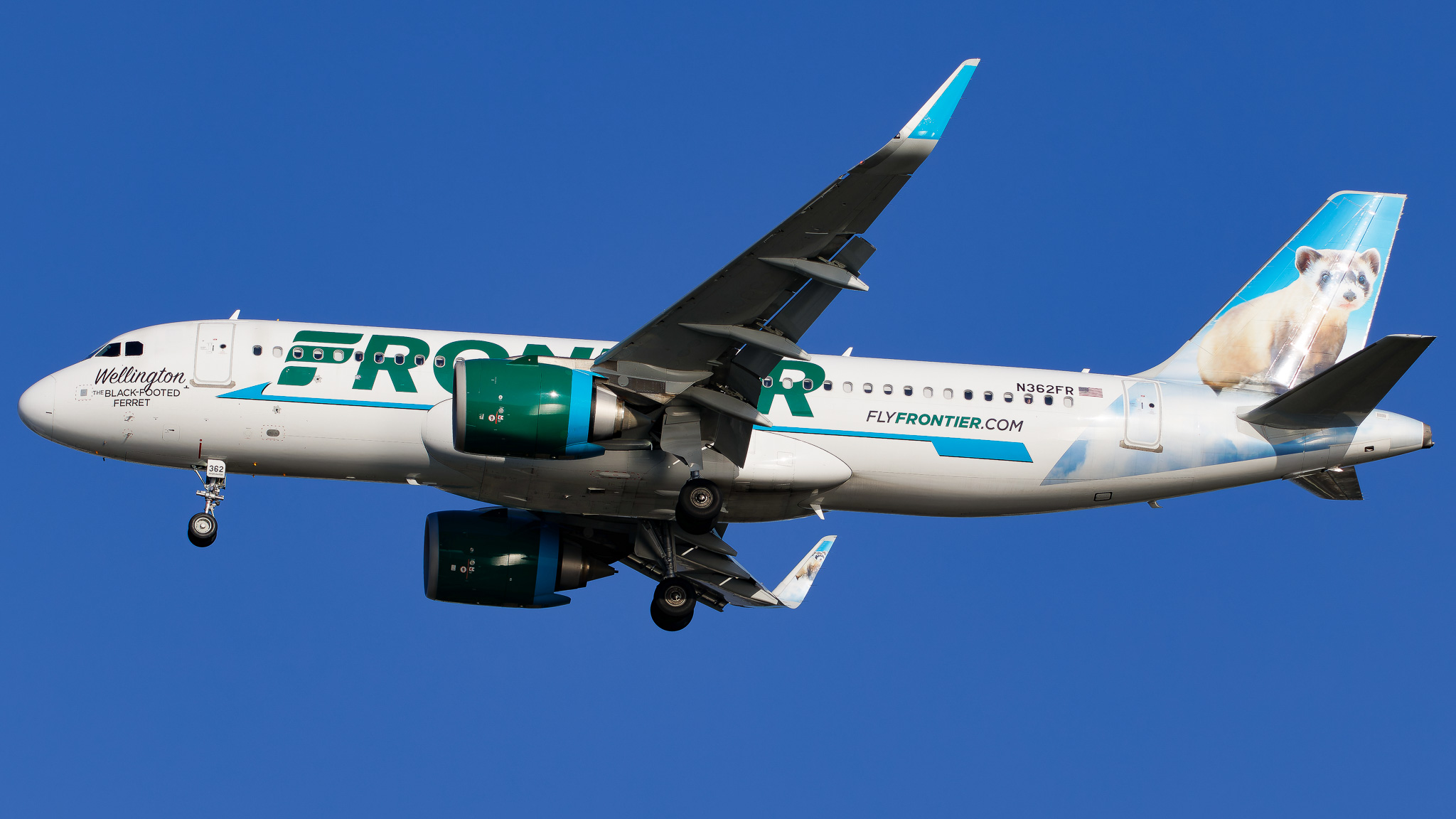 Full size: Frontier Airlines Airbus A320NEO N362FR at Tampa International Airport