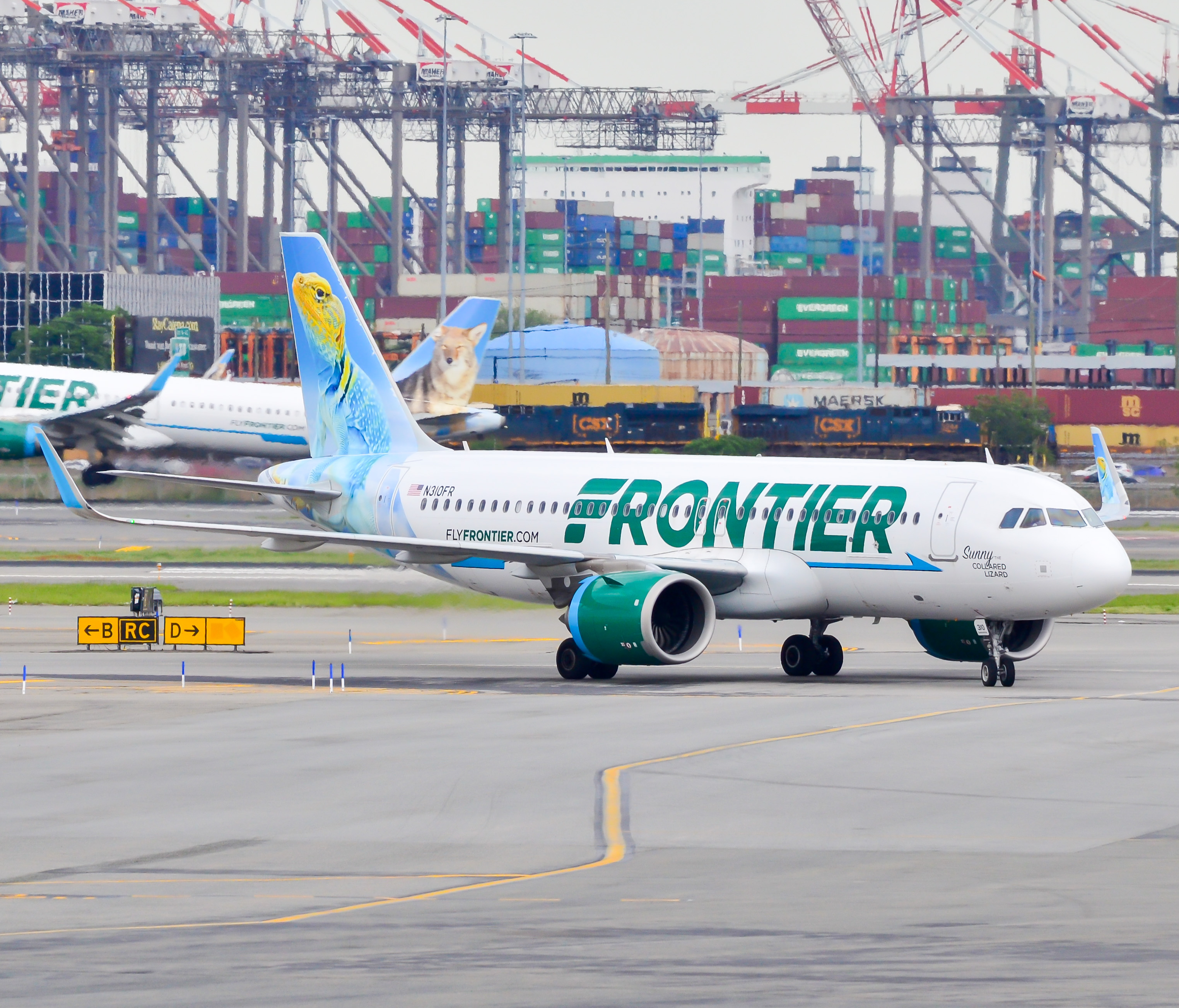 Full size: Frontier Airlines Airbus A320-200N N310FR at Newark Liberty International Airport