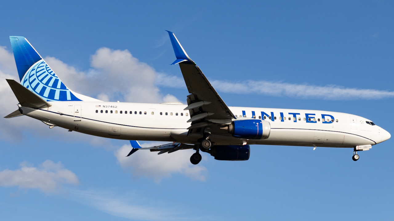Full size: United Airlines Boeing 737-800 N37462 at Tampa International Airport