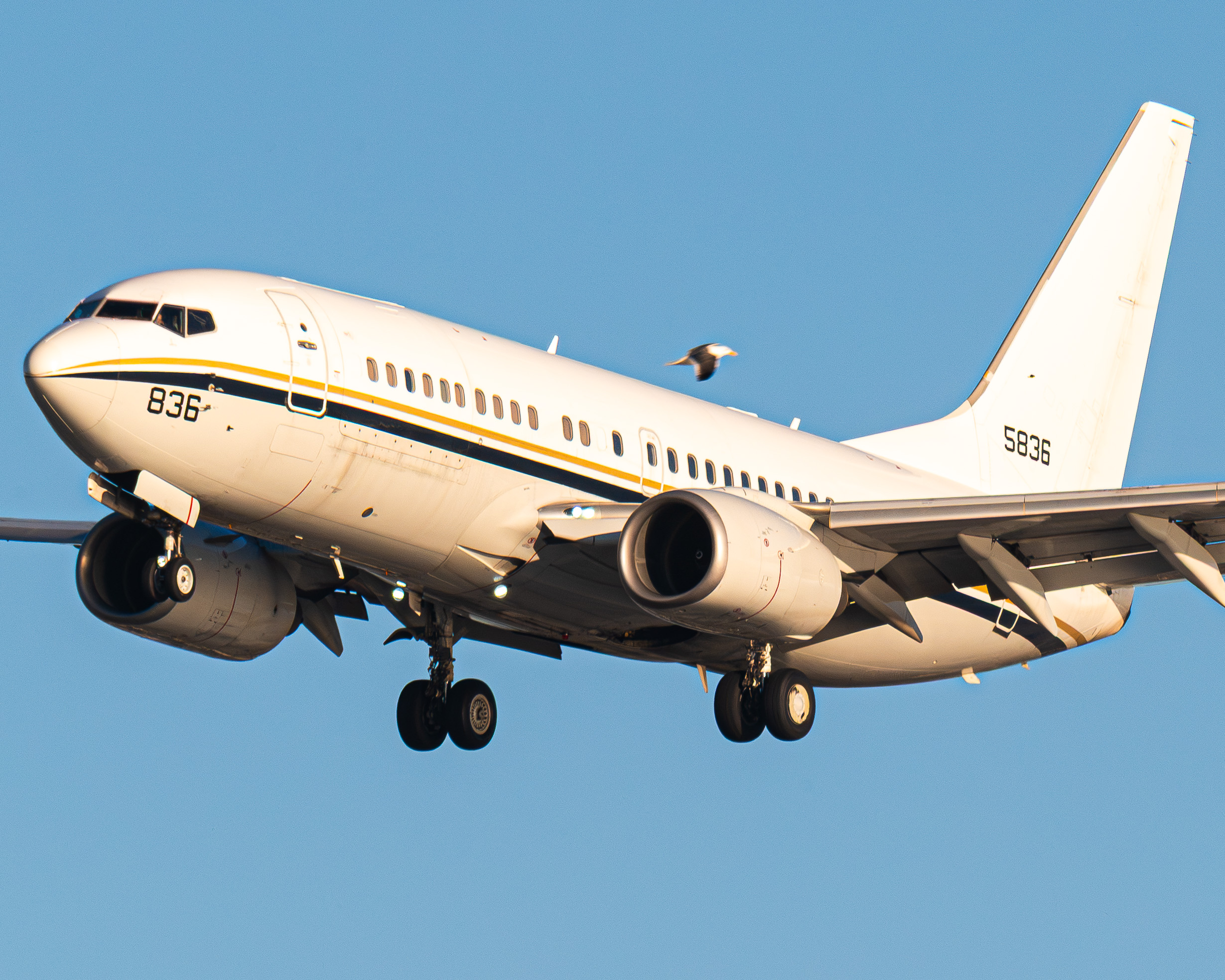 Full size: US Navy Boeing C-40 165836 at North Island NAS