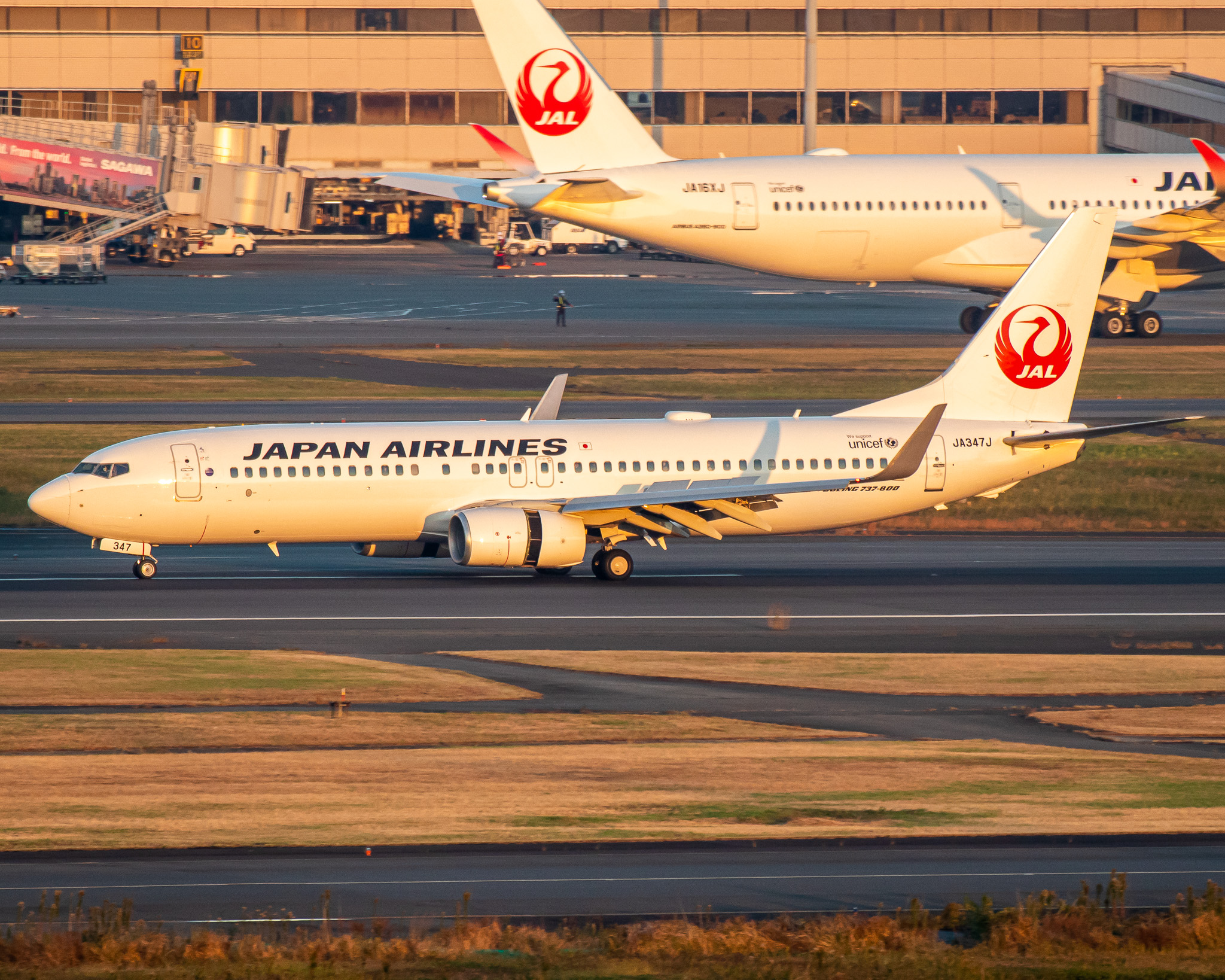Full size: Japan Airlines Boeing 737-800 JA347J at Tokyo-Haneda Airport