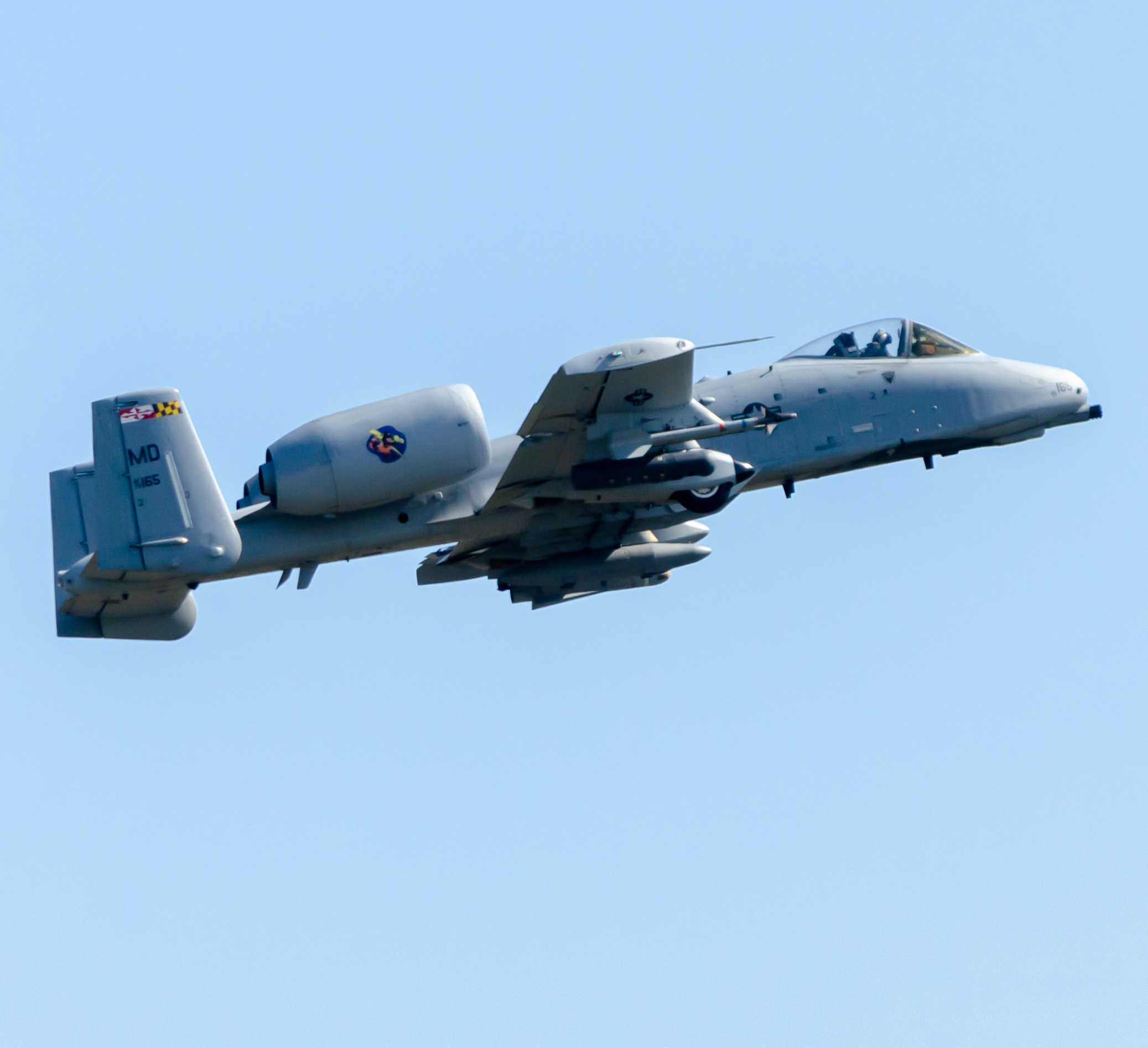 Full size: Maryland ANG Fairchild A-10 Thunderbolt 79-0165 at Atlantic City International Airport