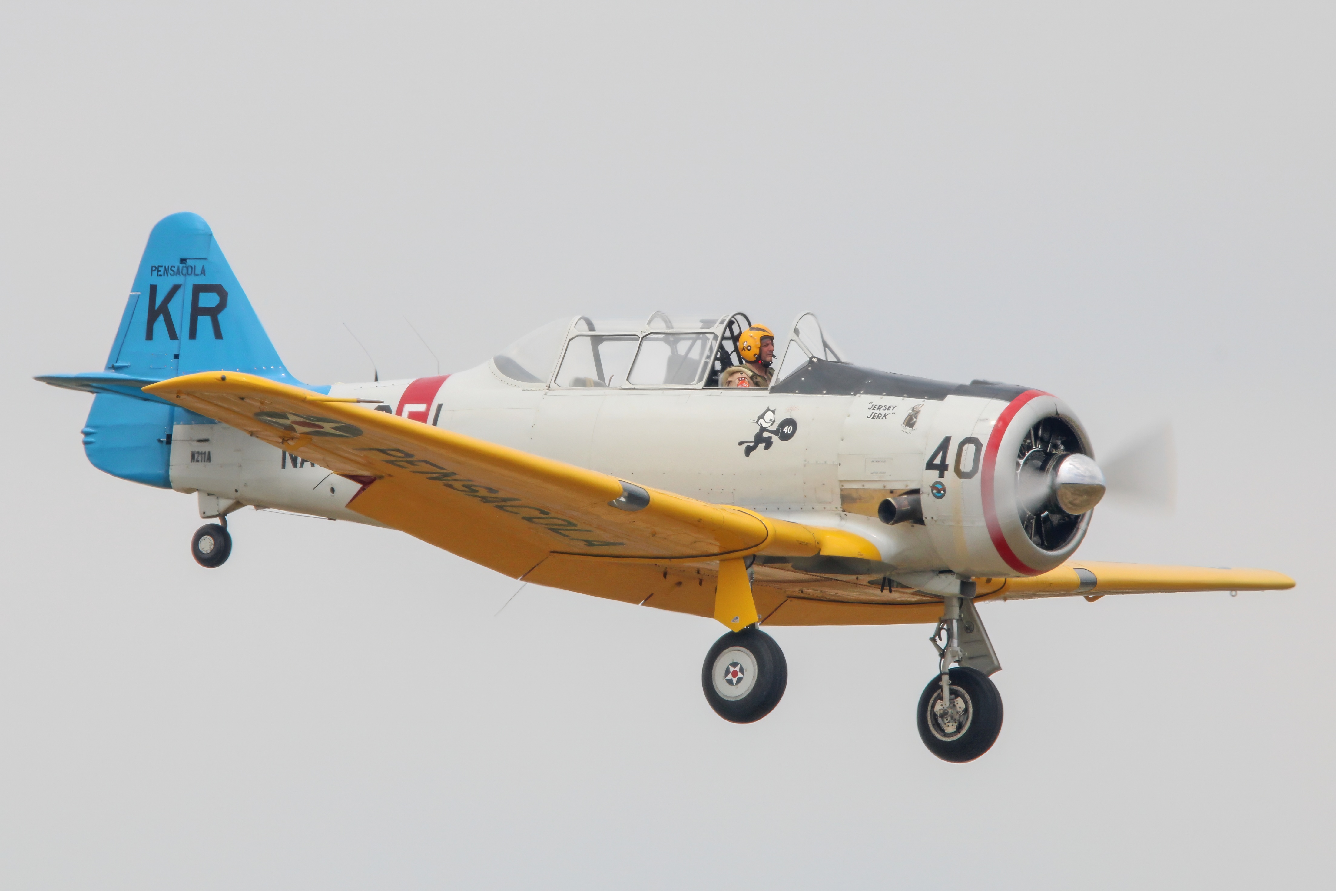 Full size: PRIVATE North American T-6 Texan N211A at Reading Regional Airport/Carl A Spaatz Field