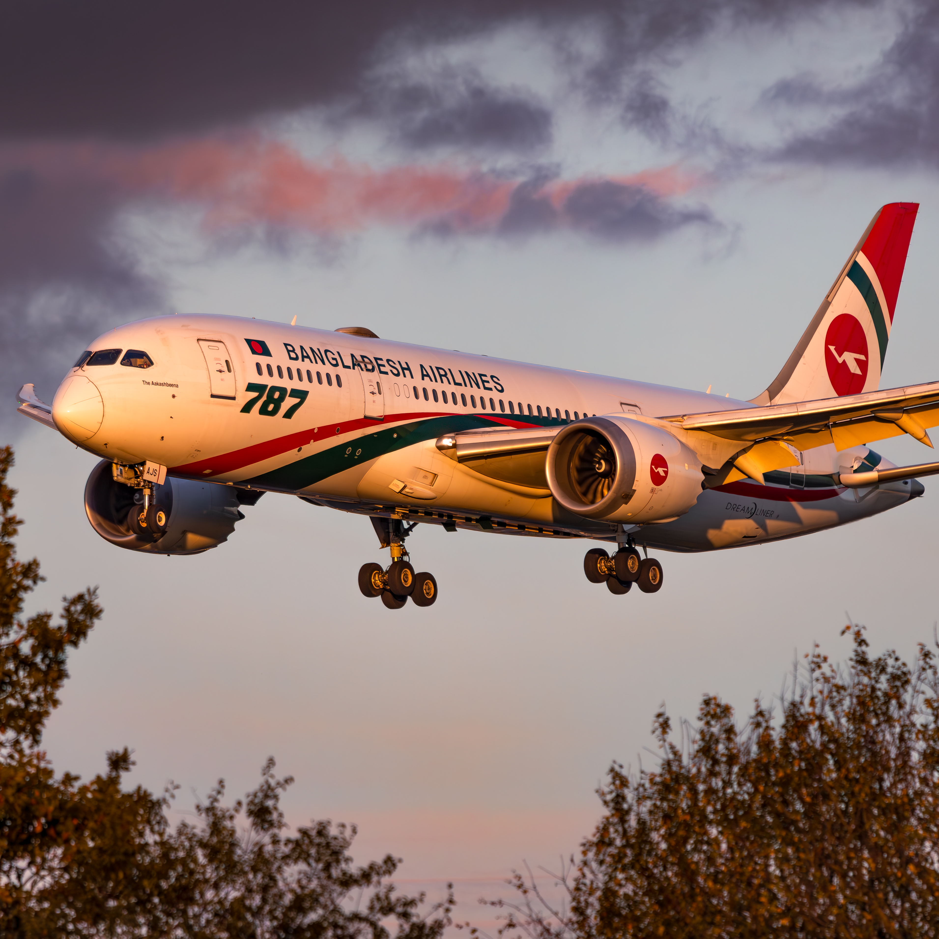 Full size: Biman Bangladesh Airlines Boeing 787-8 S2-AJS at London Heathrow International Airport