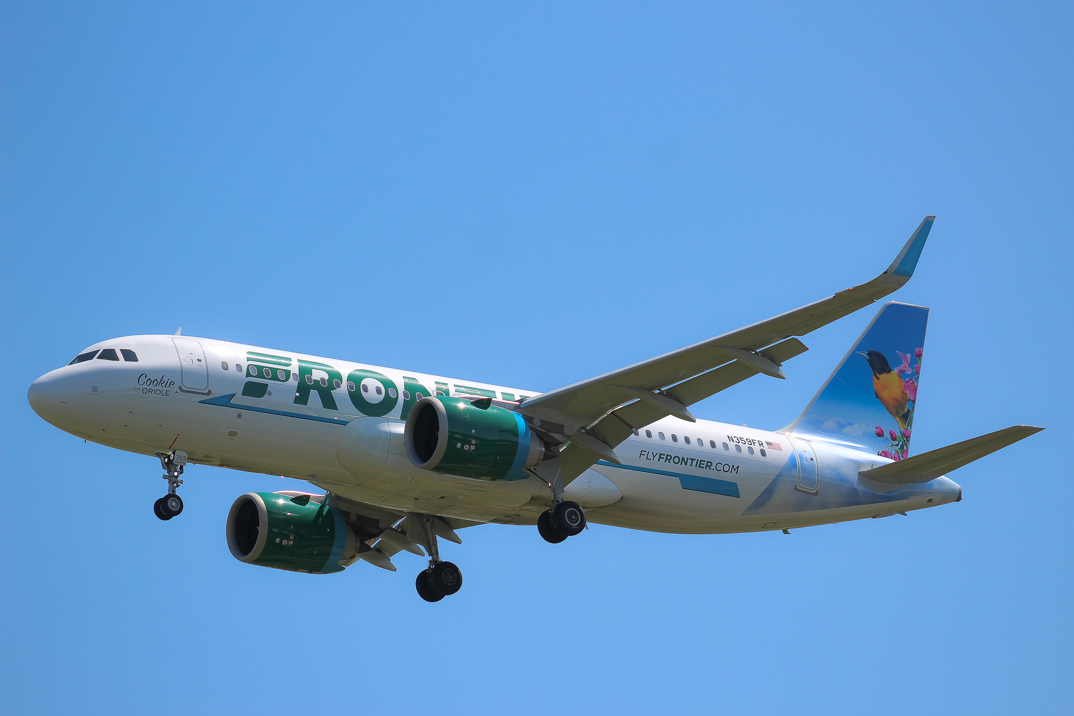 Full size: Frontier Airlines Airbus A320NEO N359FR at Seattle-Tacoma International Airport