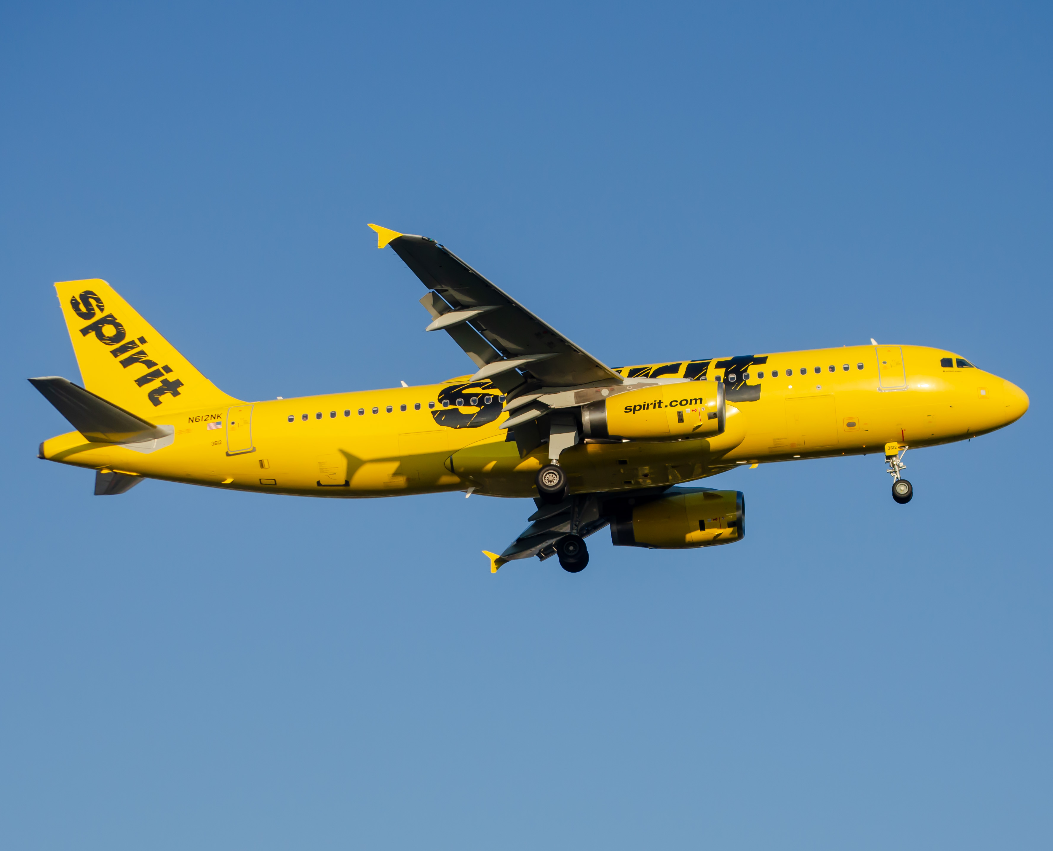 Full size: Spirit Airlines Airbus A320 N612NK at Newark Liberty International Airport